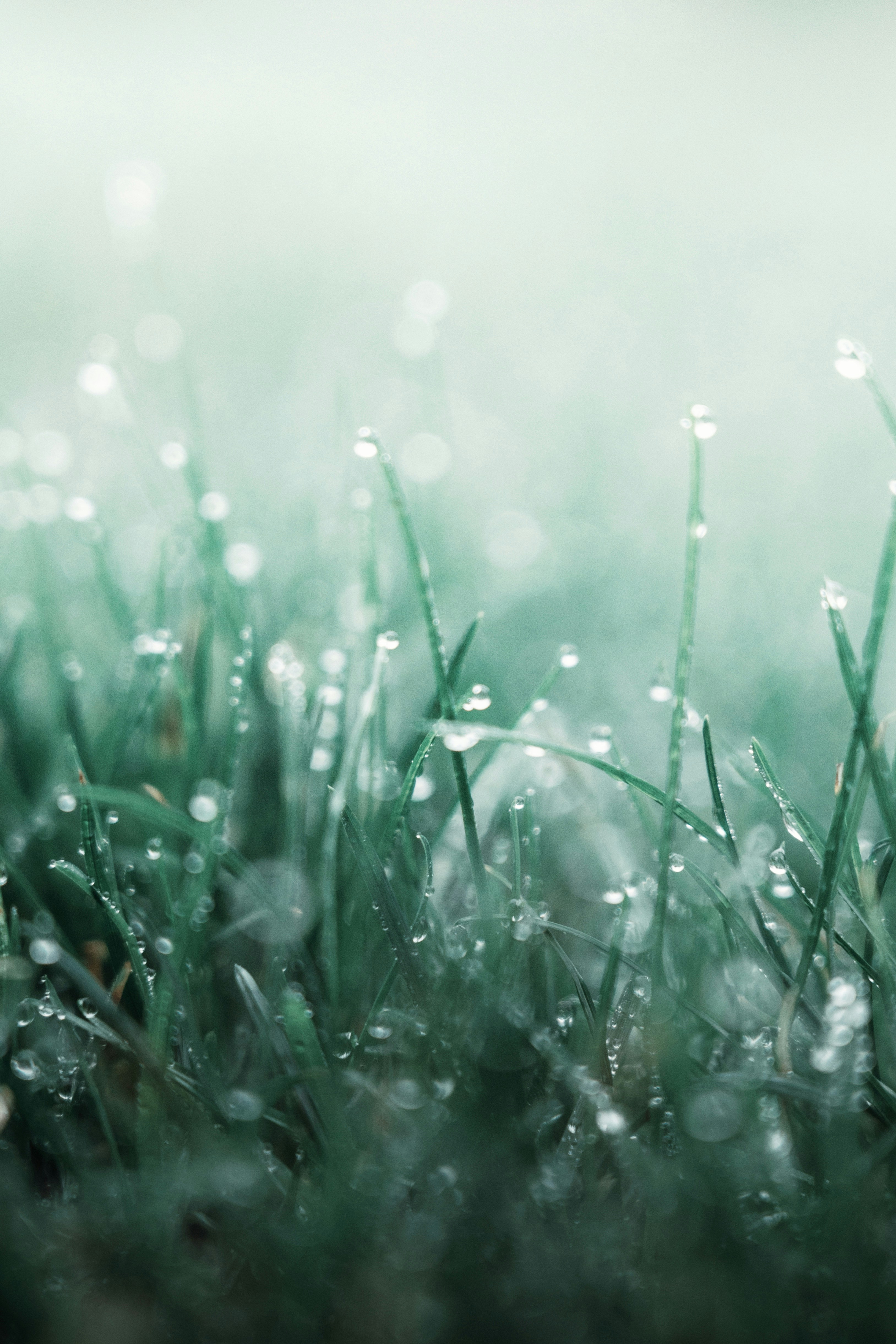 Photo by georgemcveigh