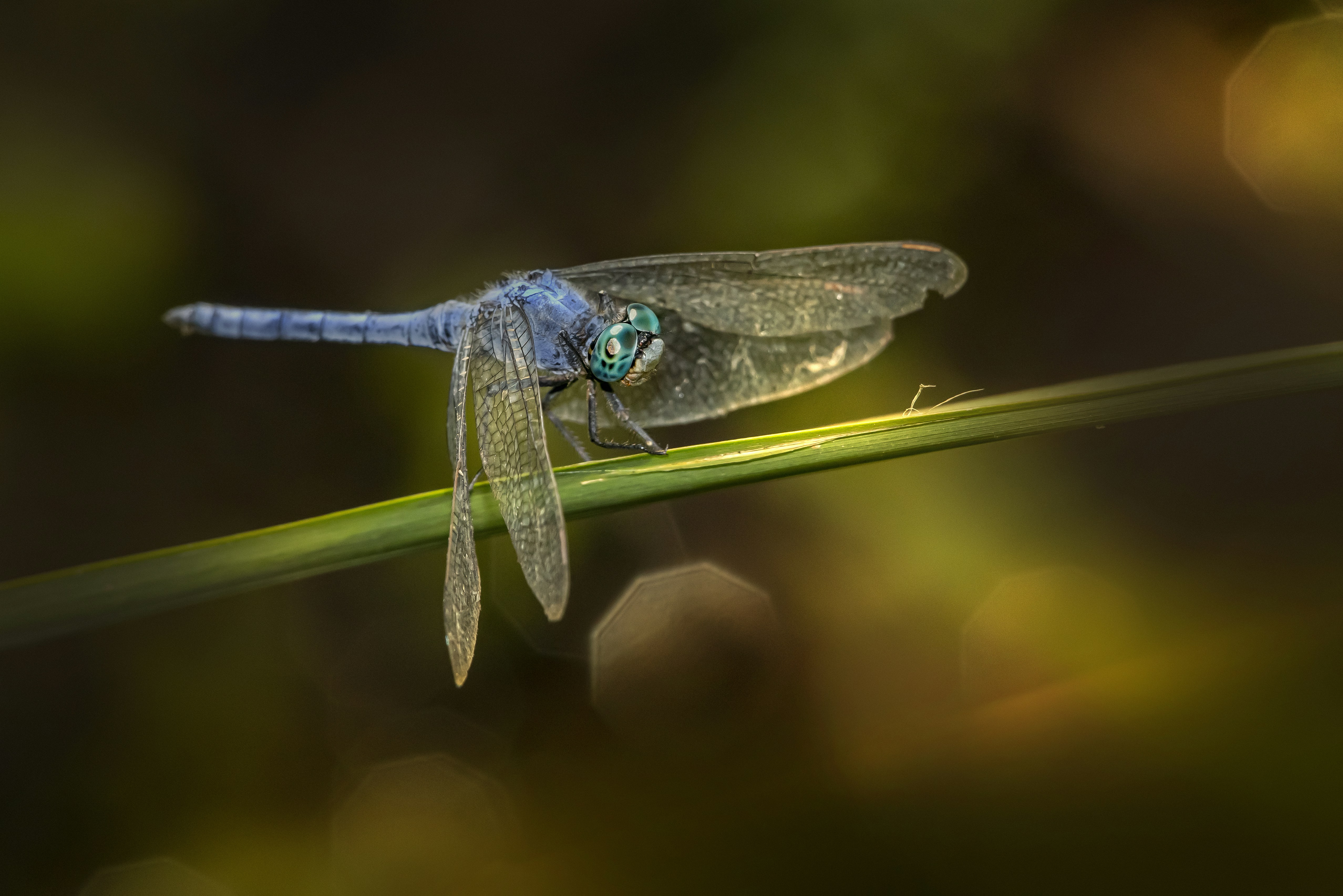 Photo by erik_karits