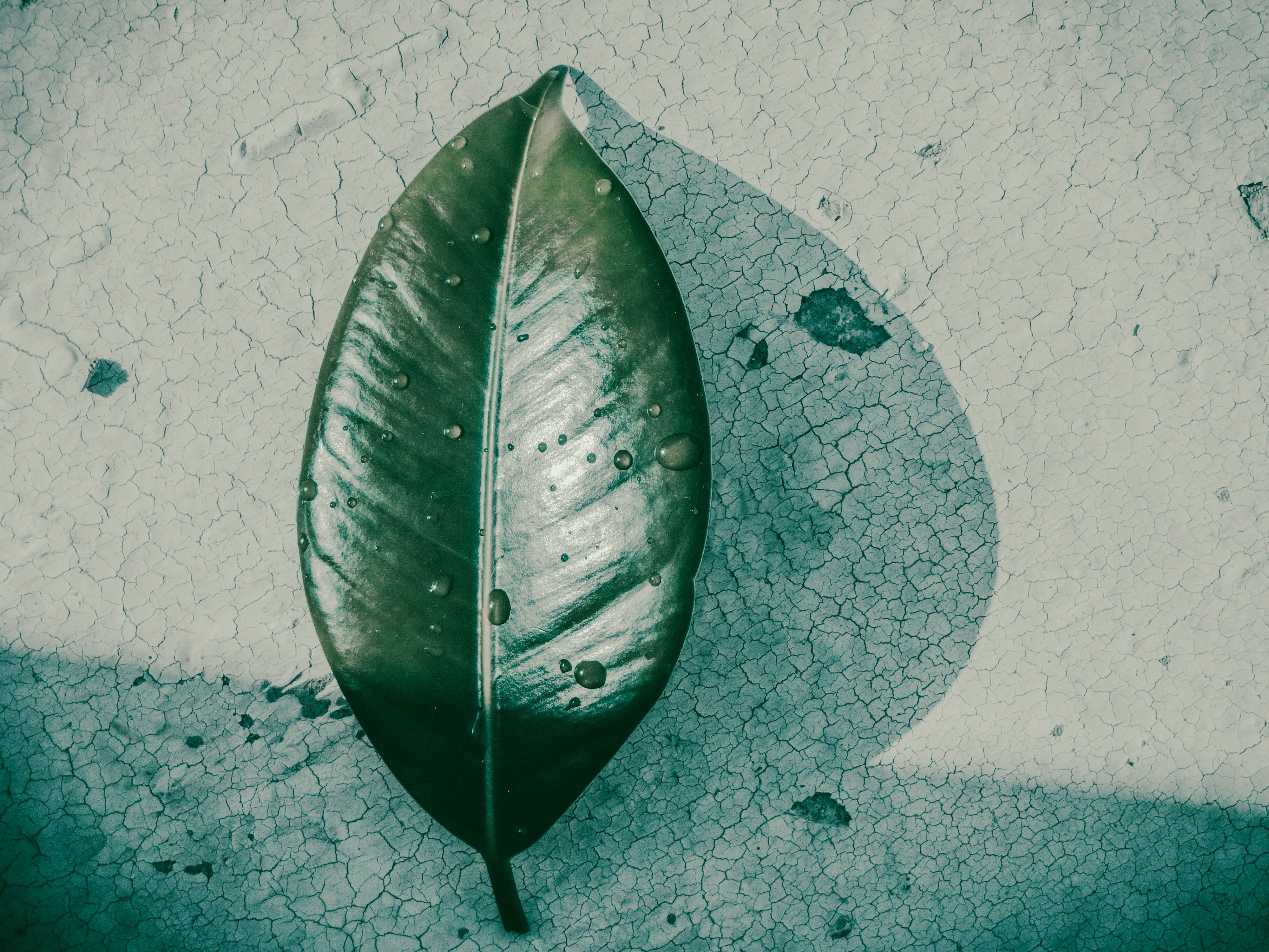 Photo by photographer_esmihel