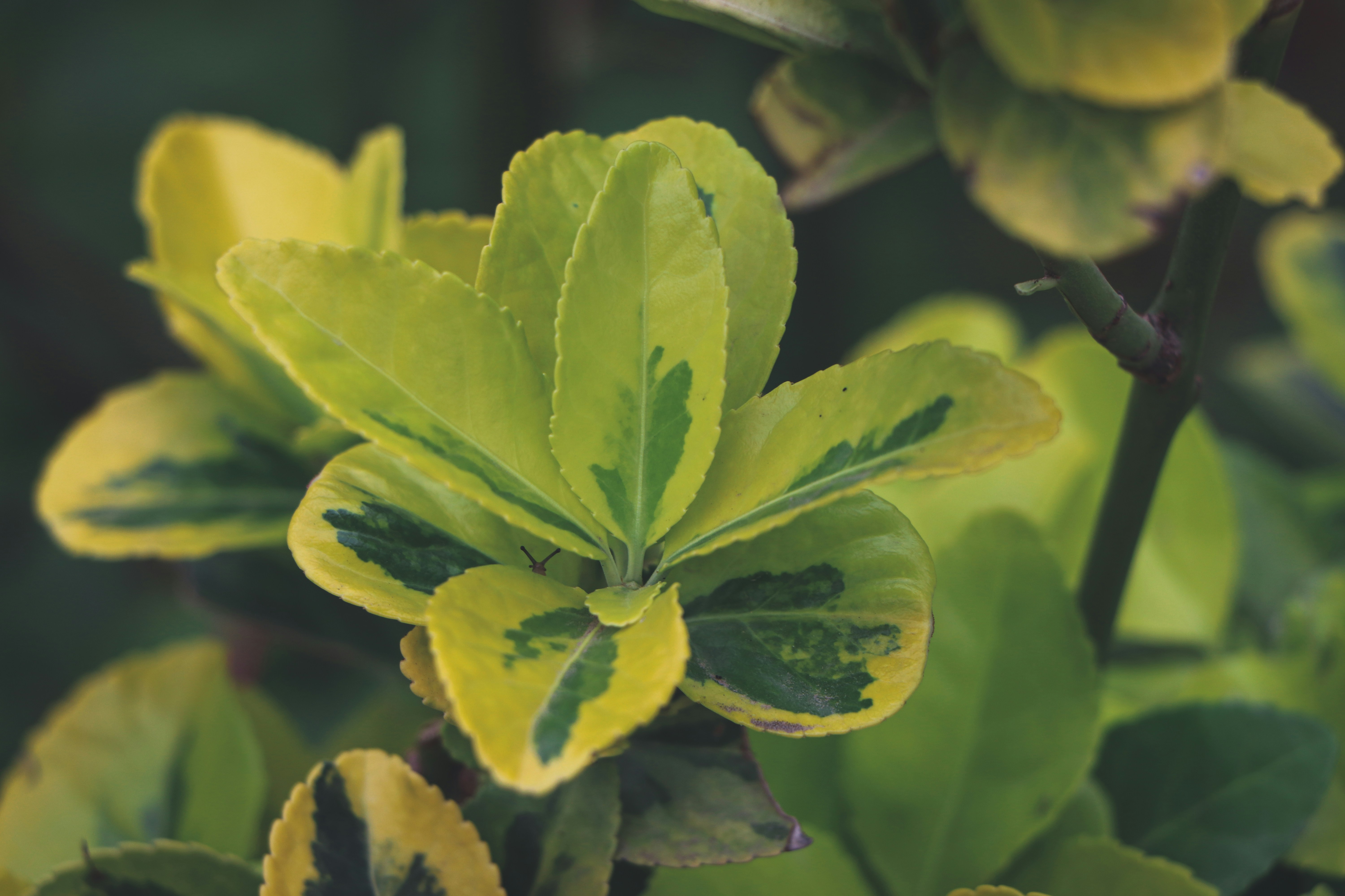 Photo by hamimoallemi