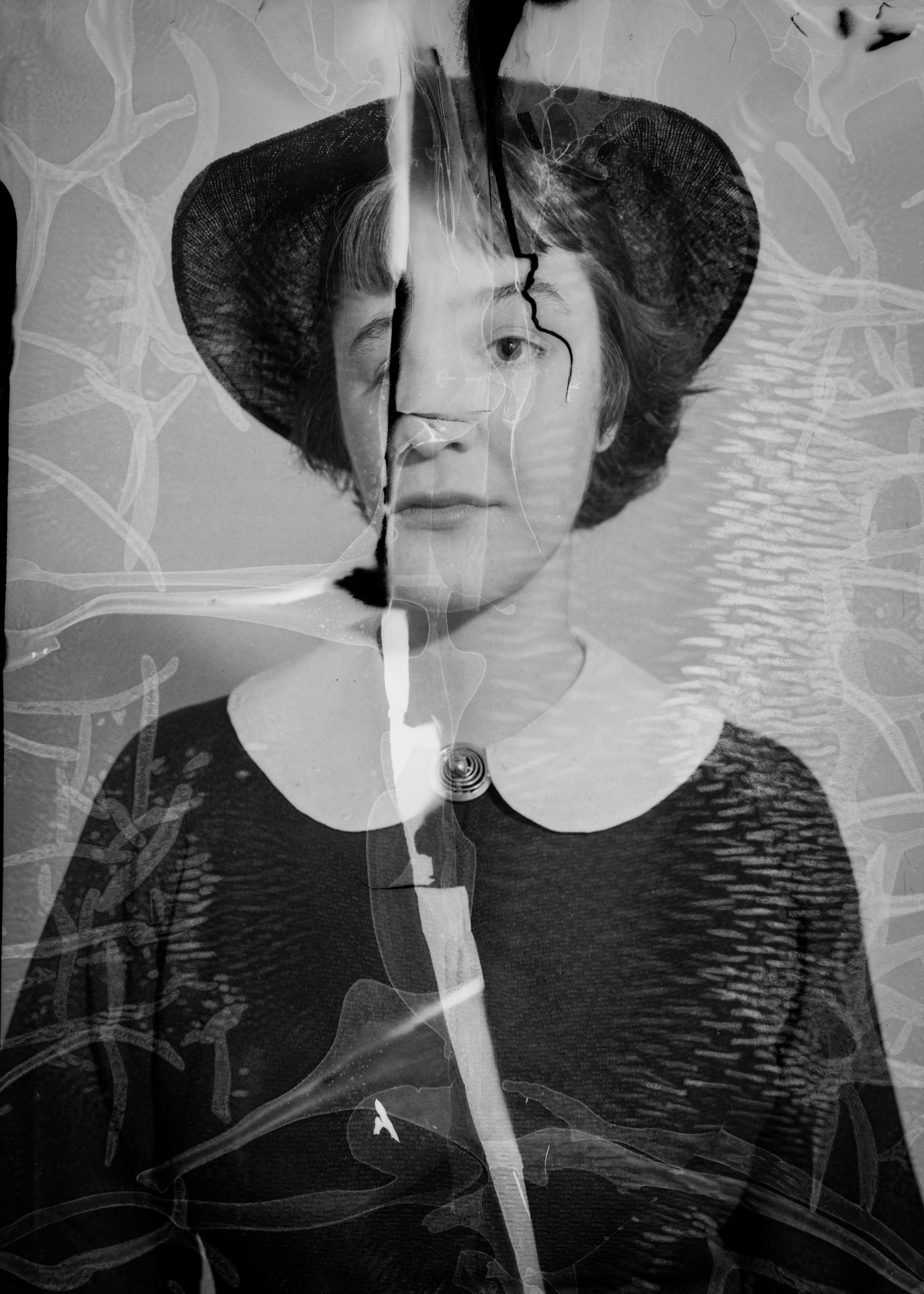 Come gestire in maniera intelligente il nostro archivio fotografico - LIVE