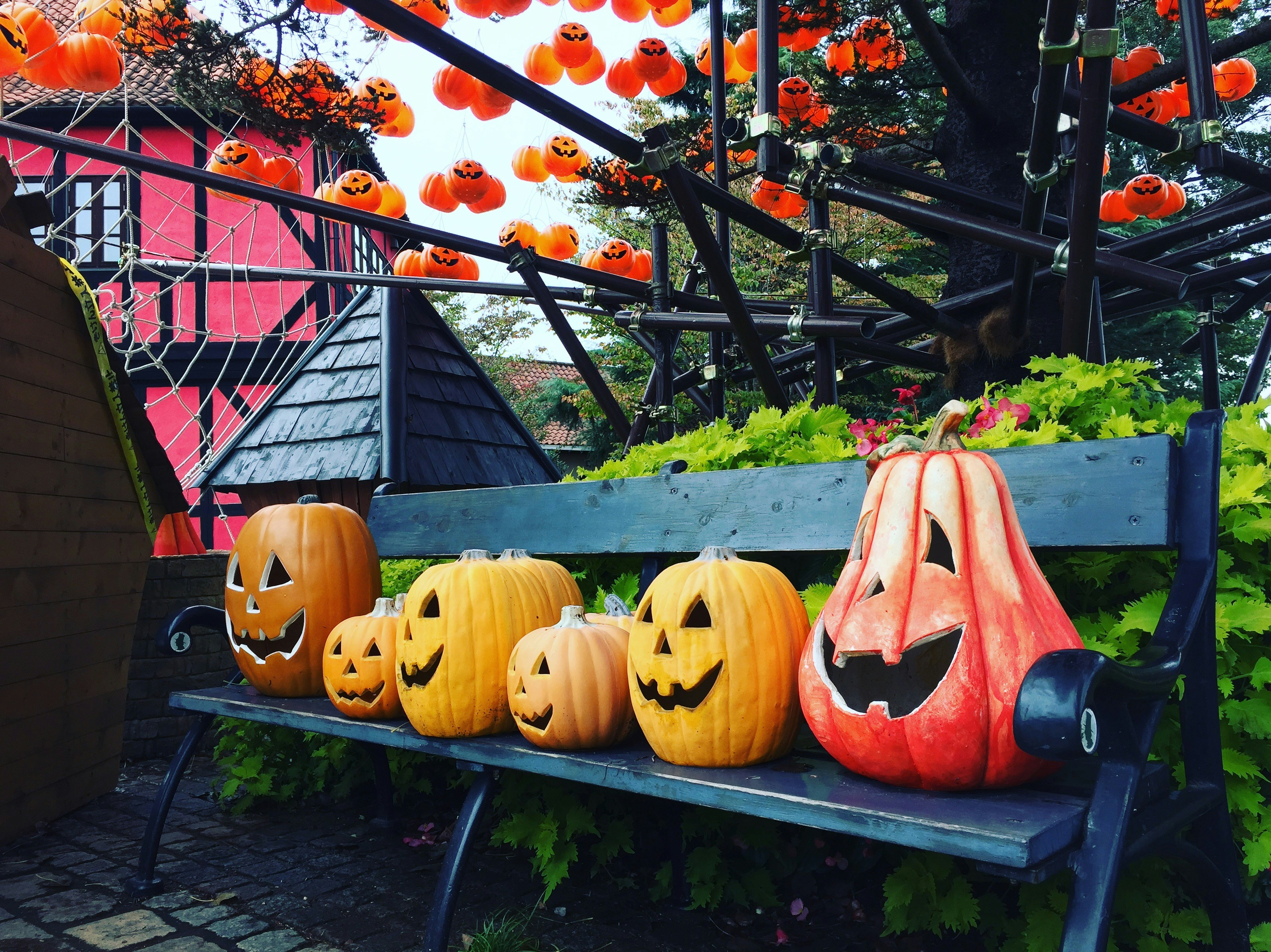 a bench with carved pumpkins sitting on top of it