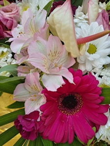 Blossom Mix Joy