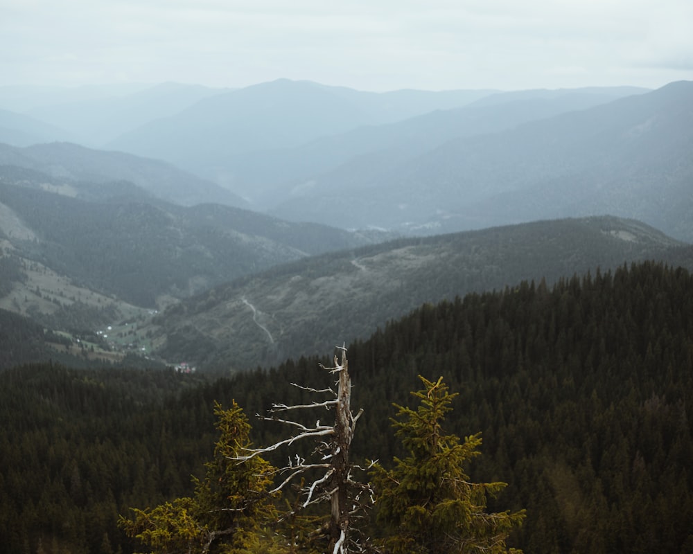 a view of the mountains from a high point of view