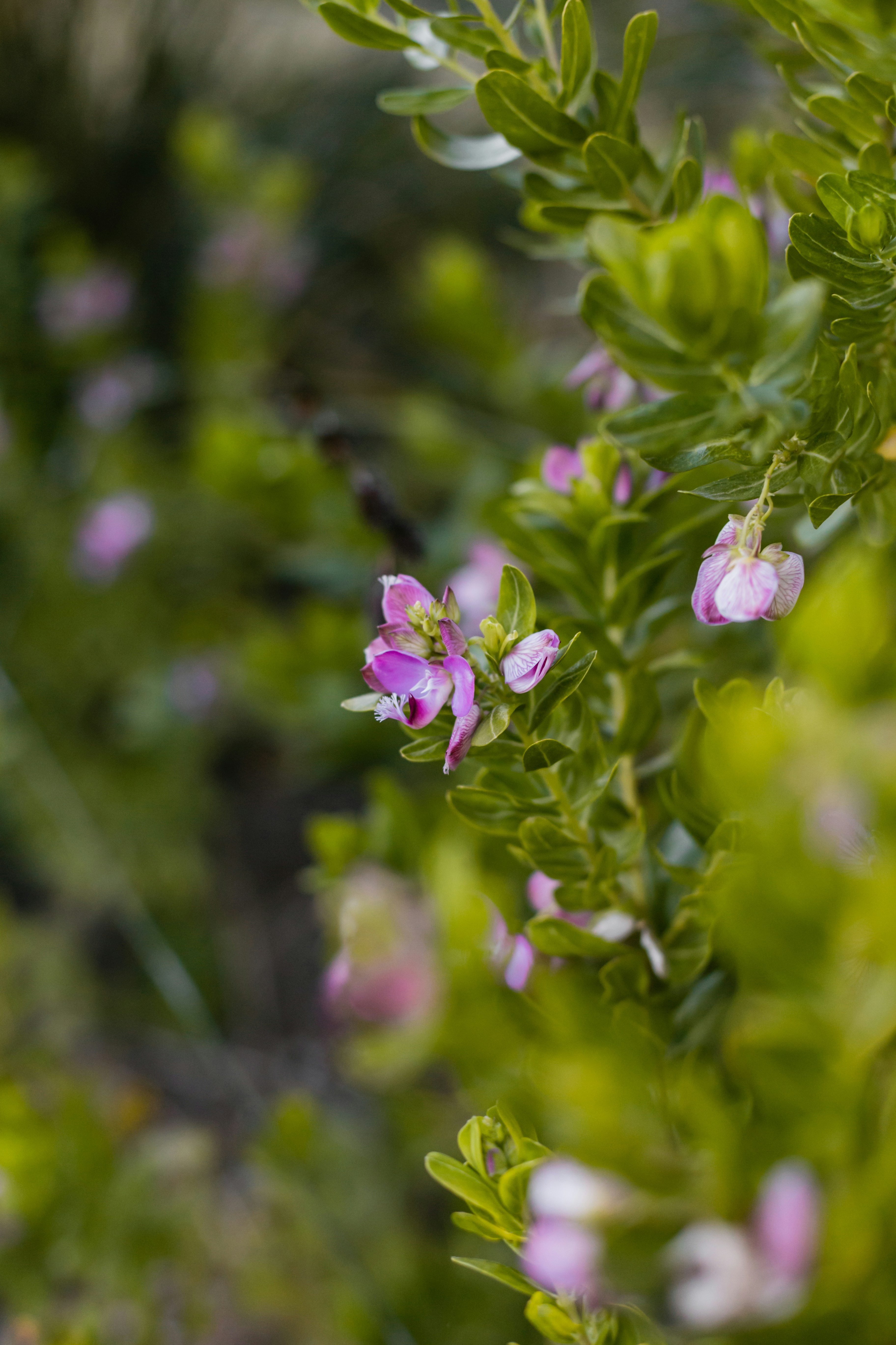 Photo by sincerelymedia