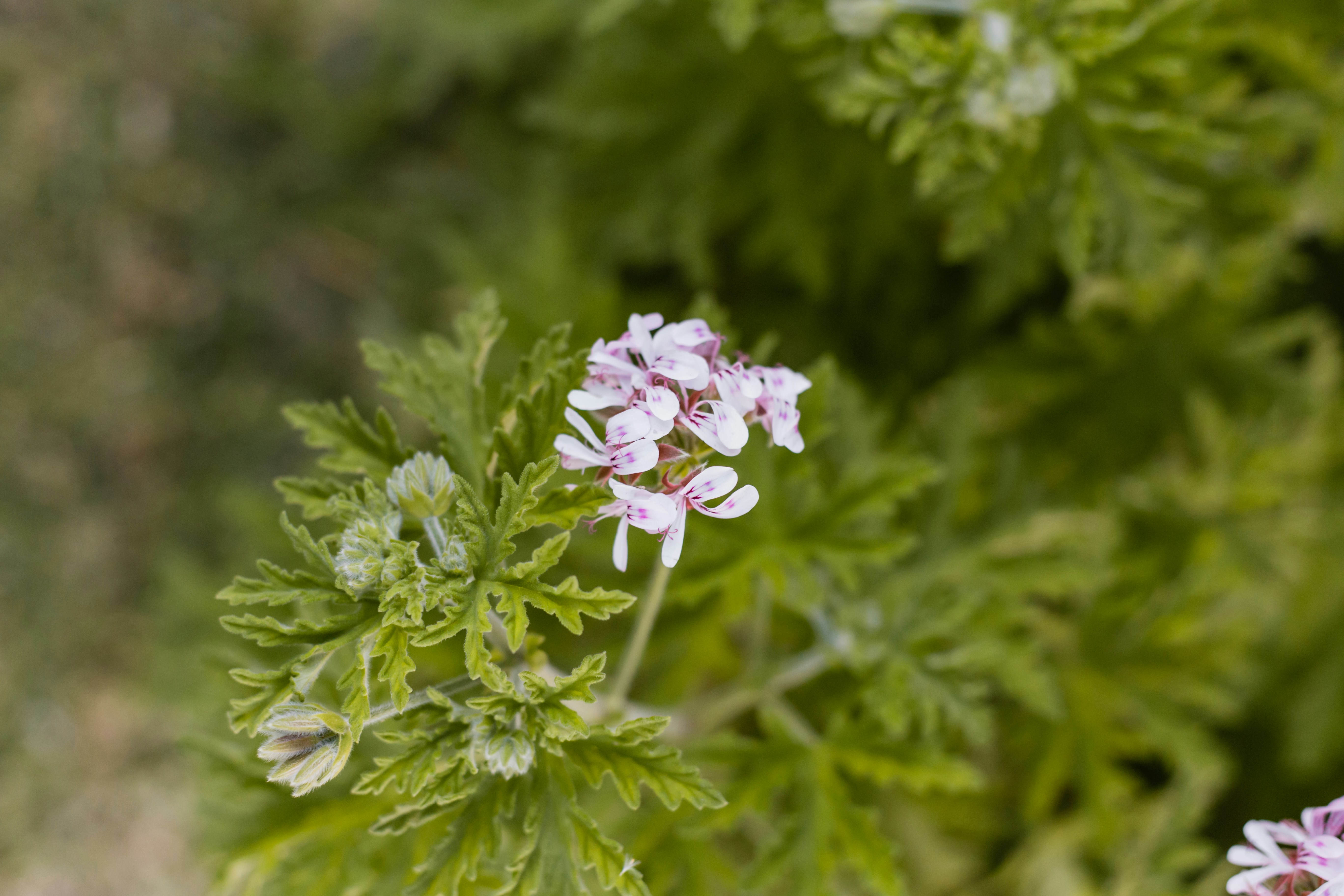 Photo by sincerelymedia