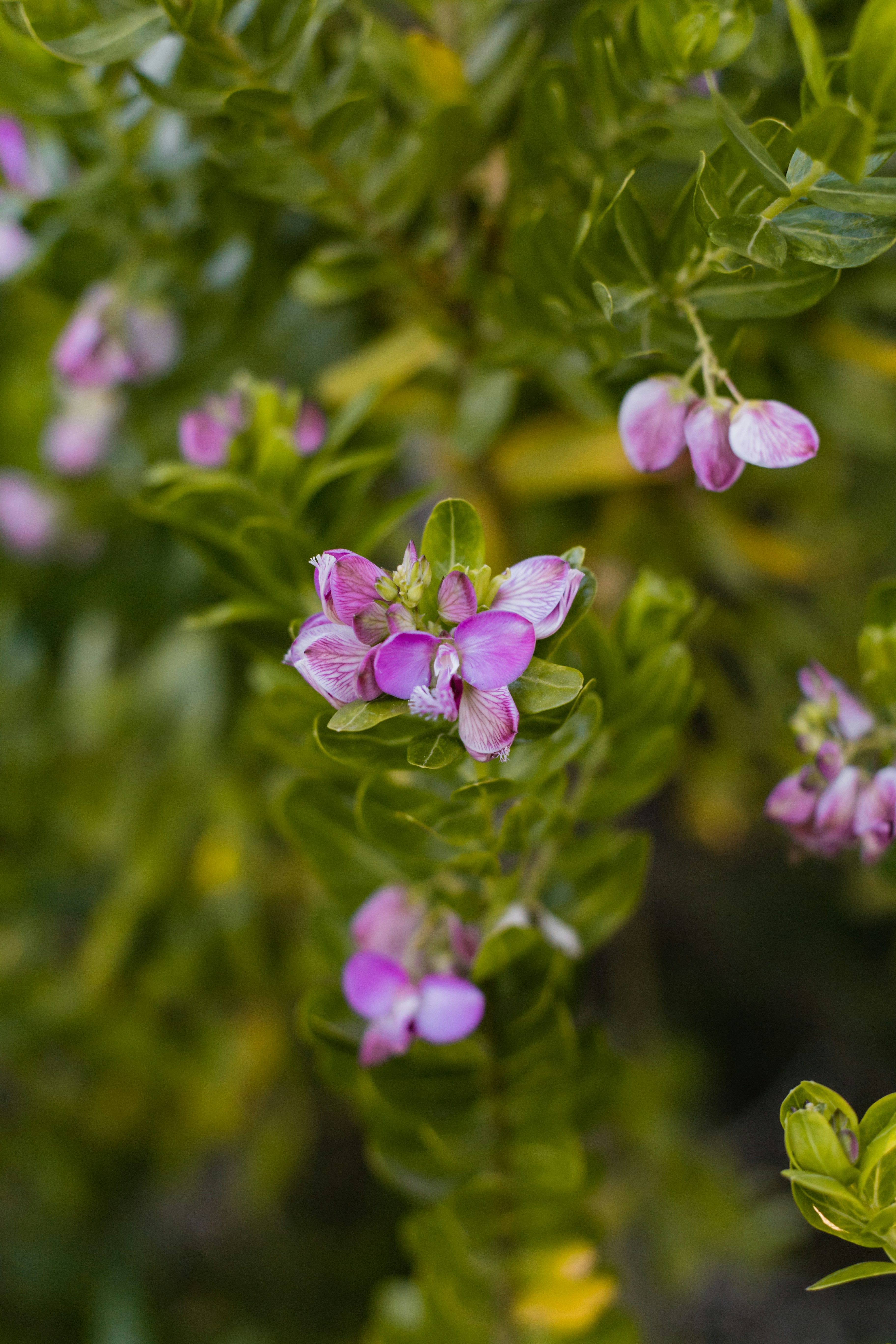 Photo by sincerelymedia