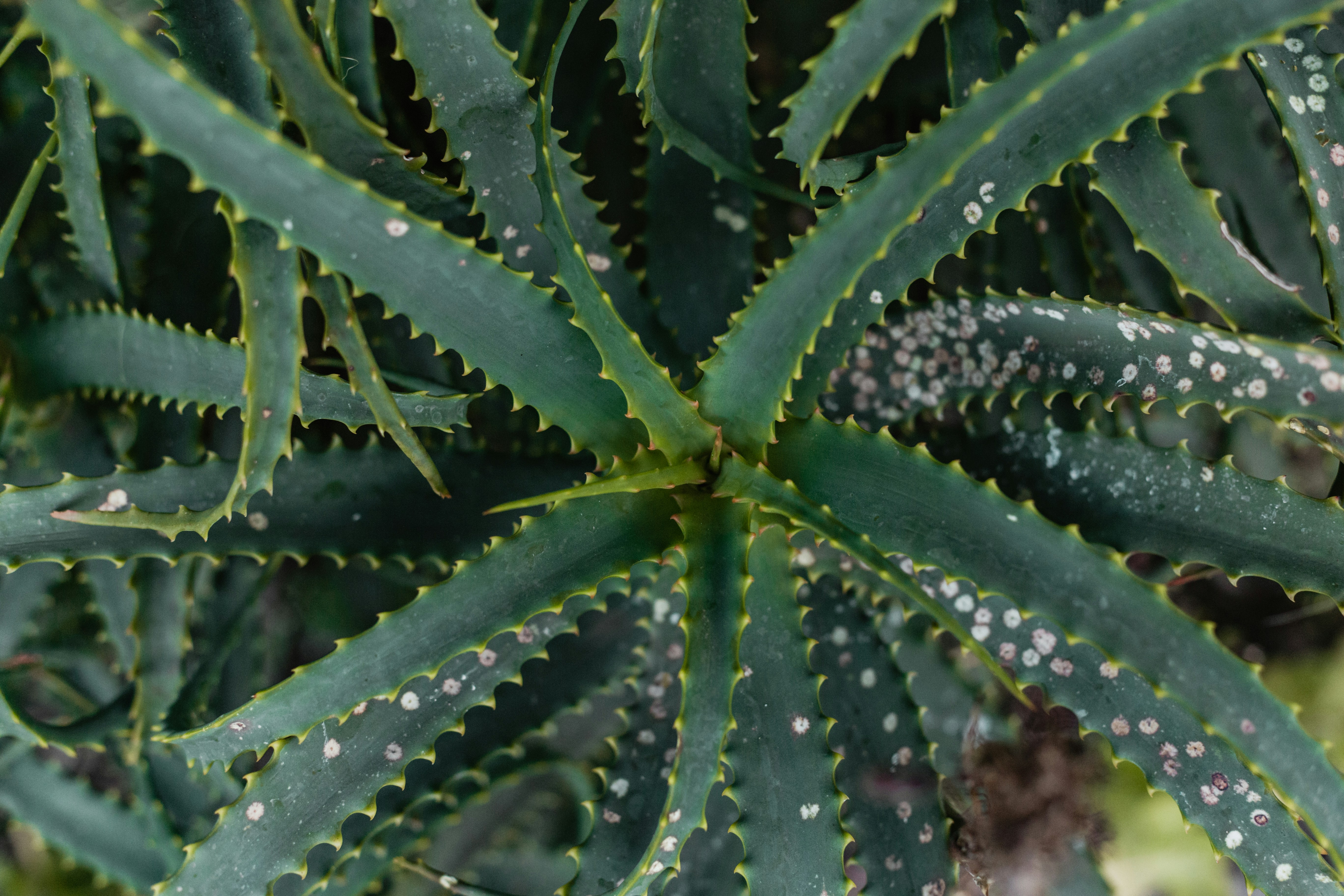 Photo by sincerelymedia