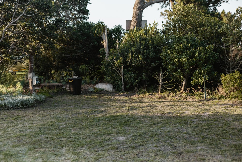 a grassy area with a bench and trees in the background