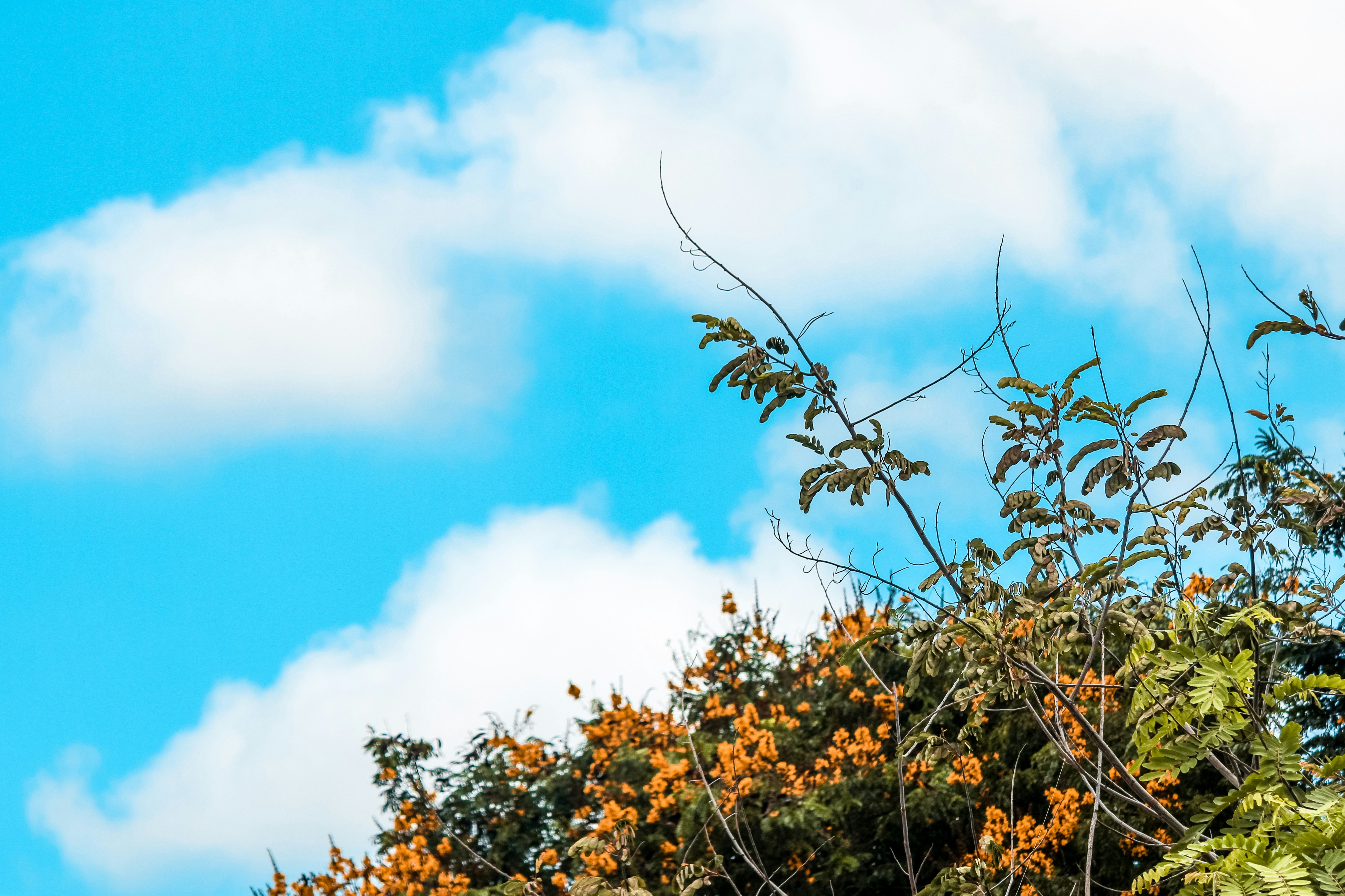 Photo by vaibhav_pixels