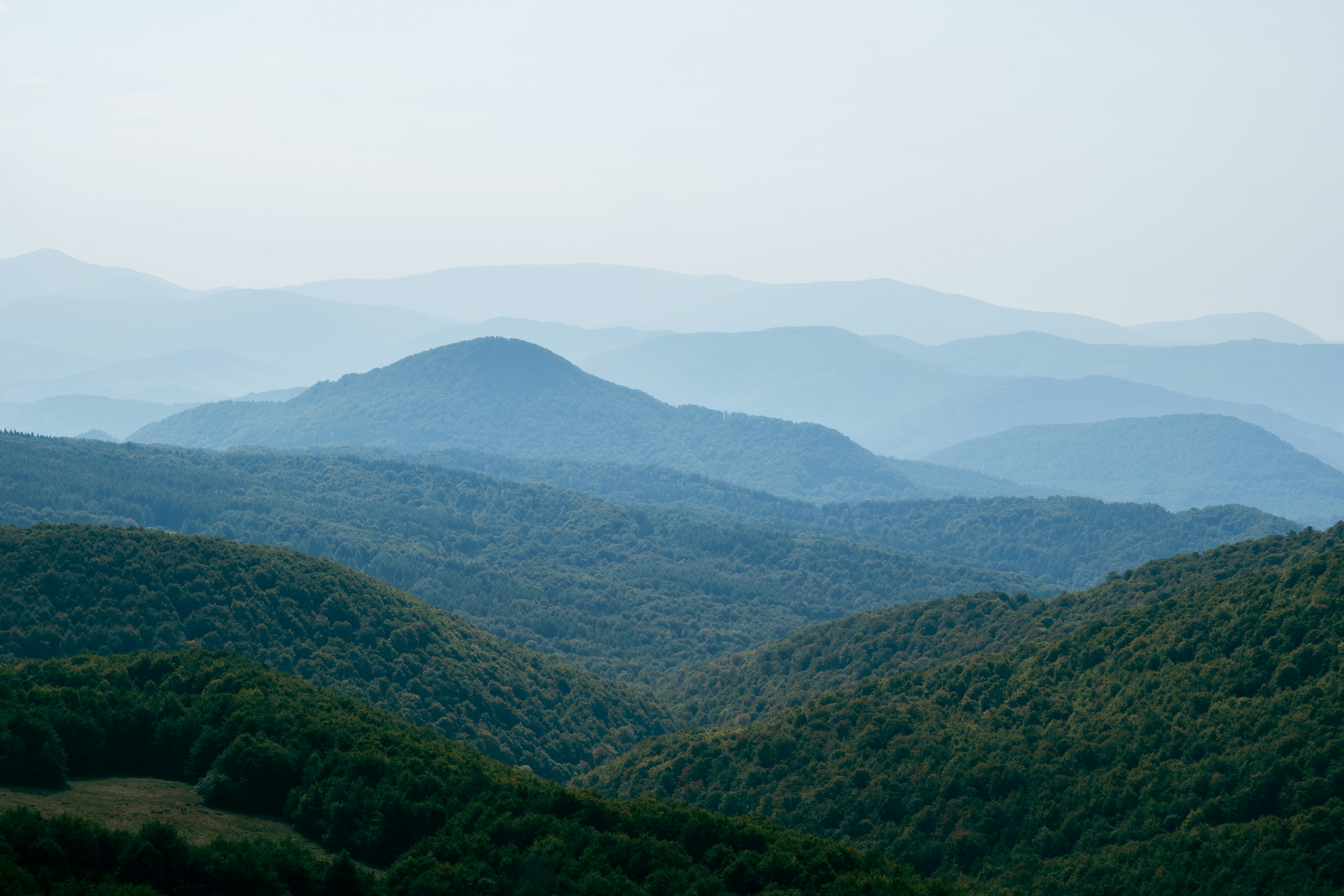 Photo by sylwiabartyzel