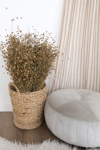 a plant in a basket next to a round ottoman