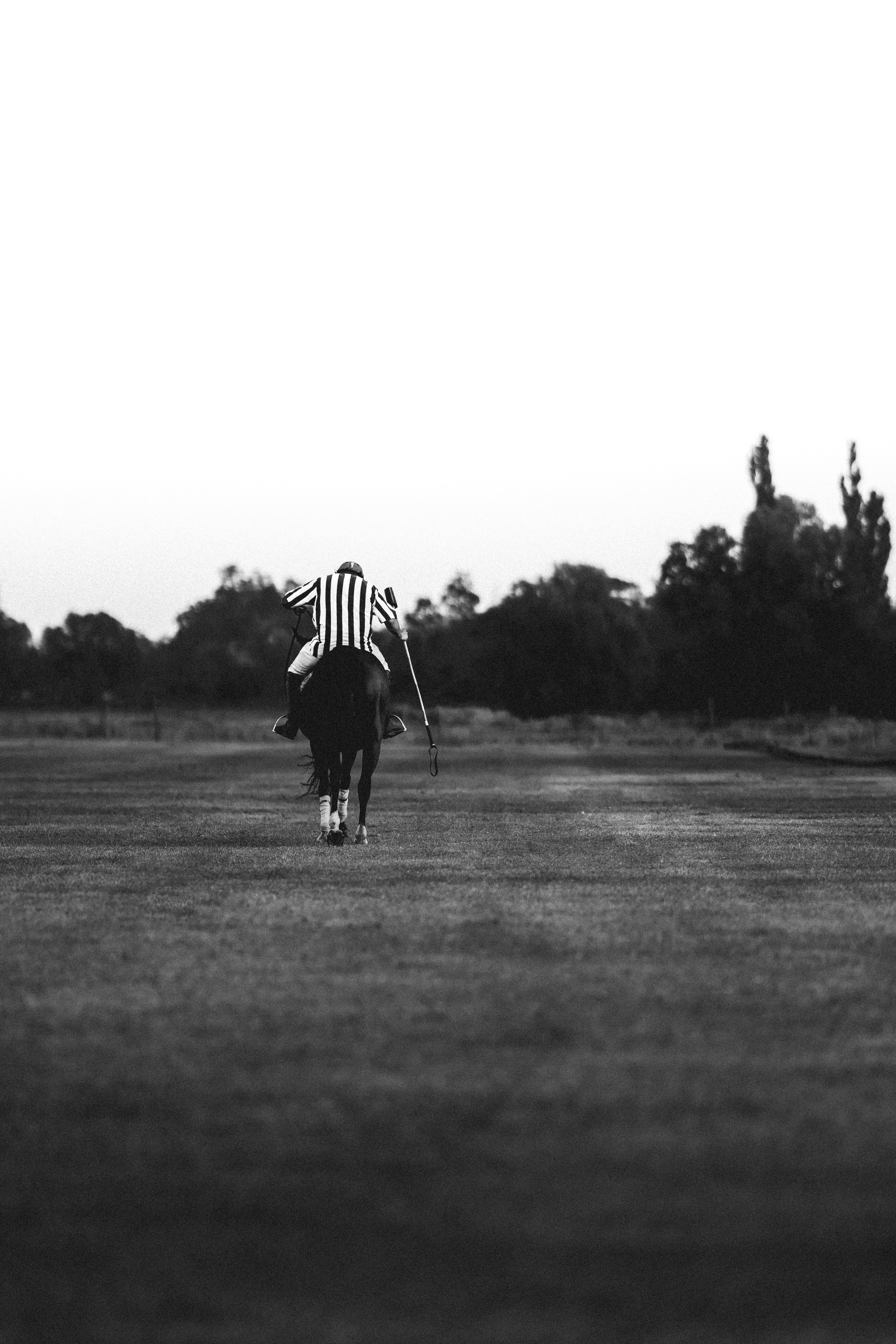 a person holding a baseball bat on a field