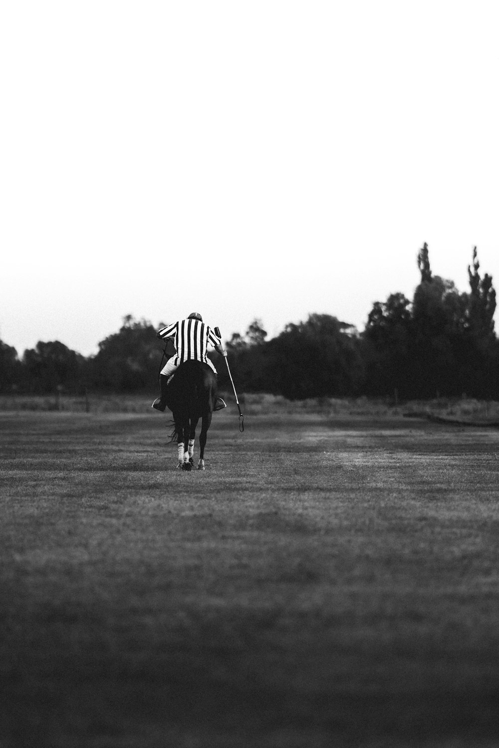 a person holding a baseball bat on a field