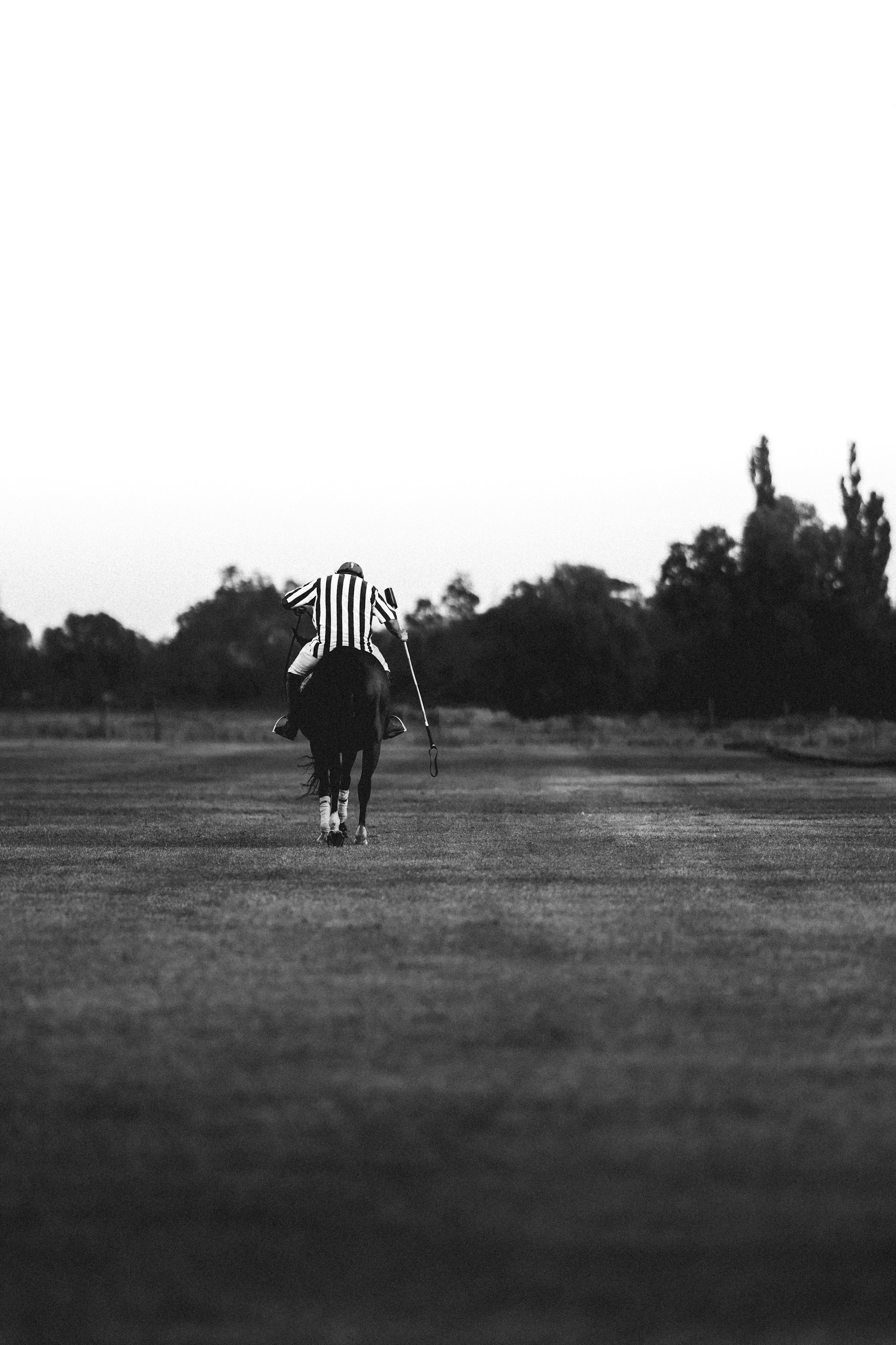 a person holding a baseball bat on a field
