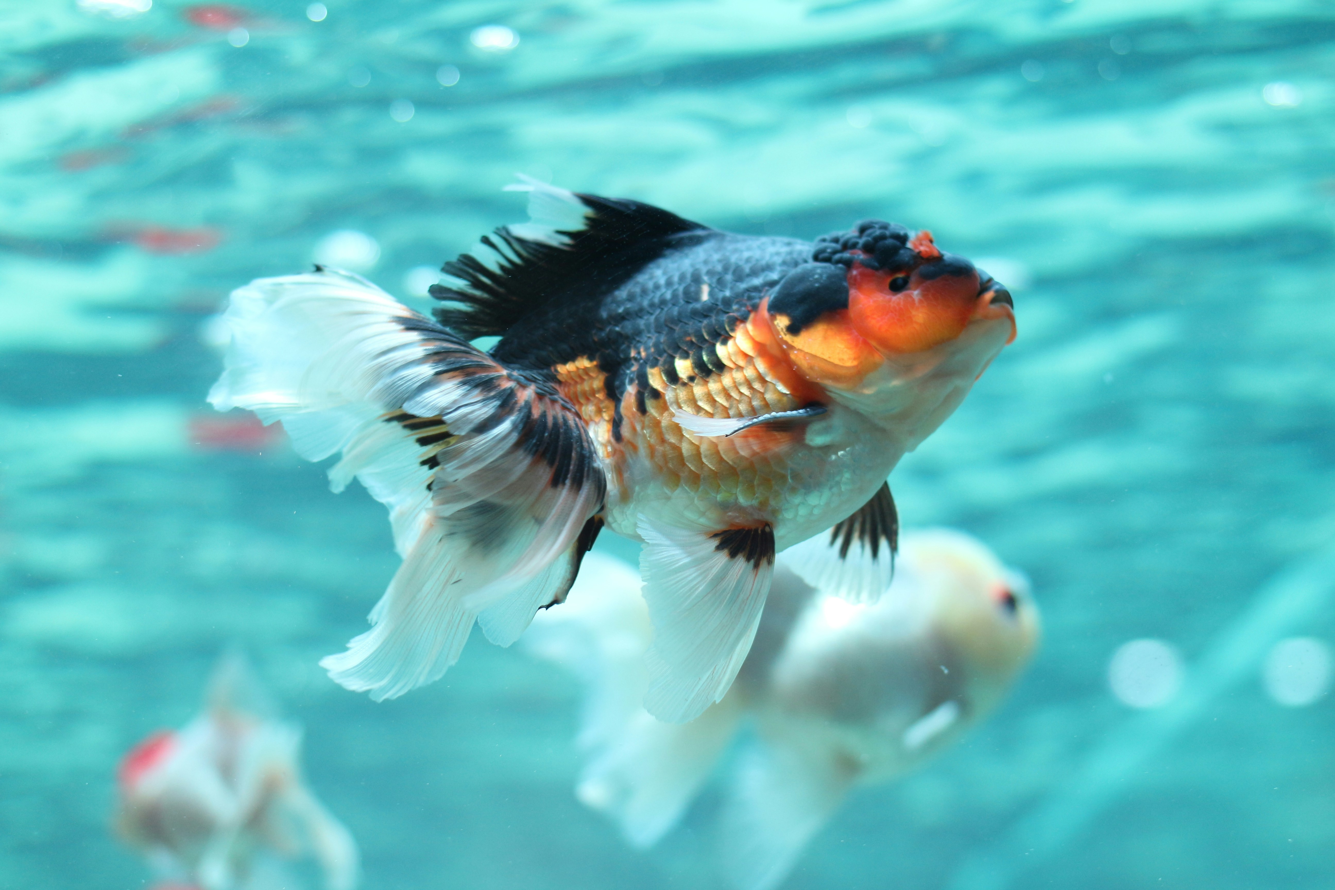 Photo by applepicker1