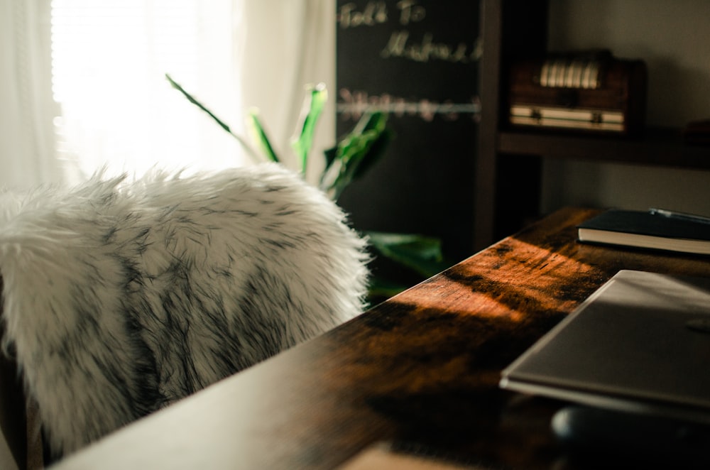 a desk with a book and a plant on it