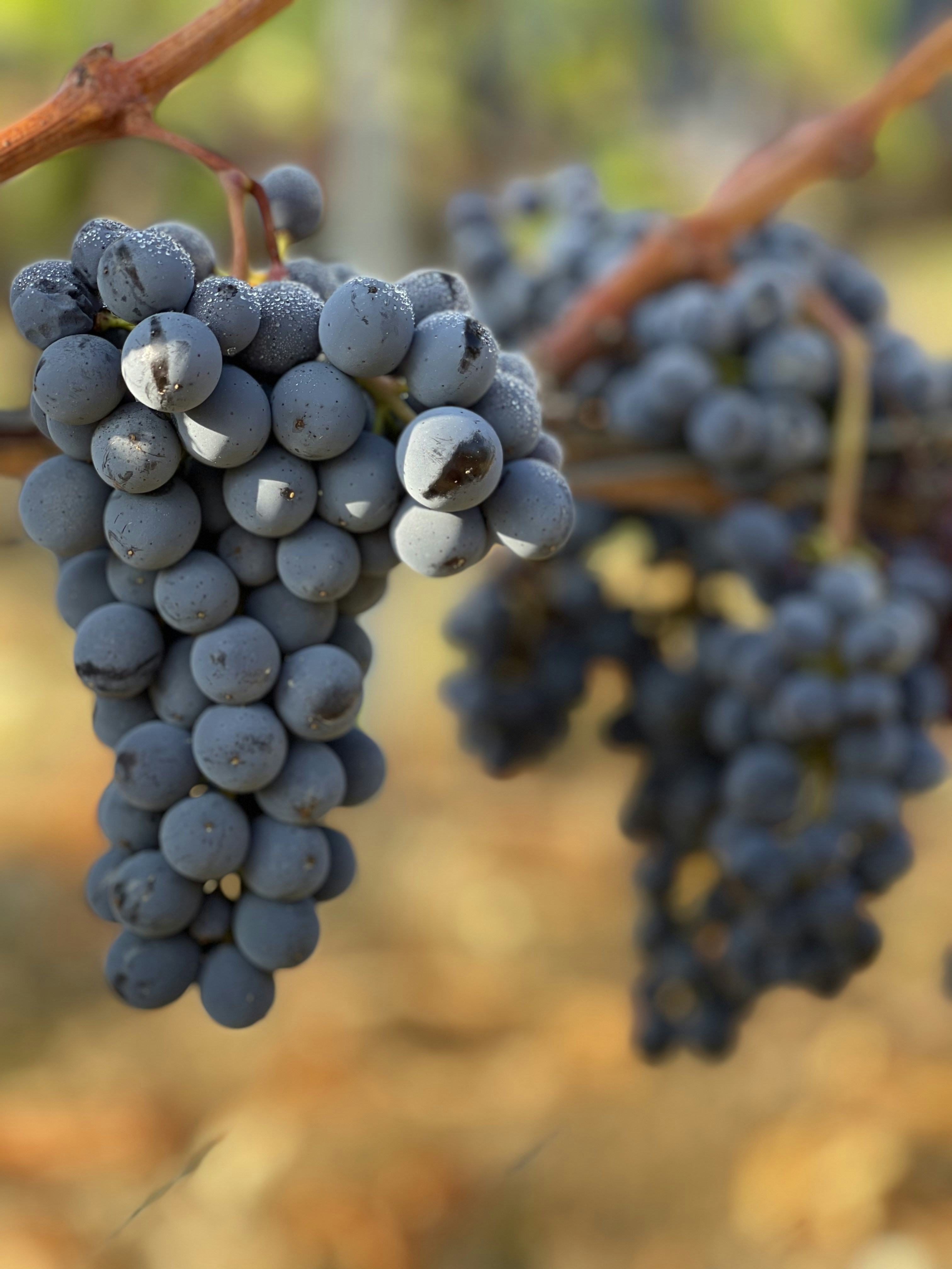 Photo by john_cameron