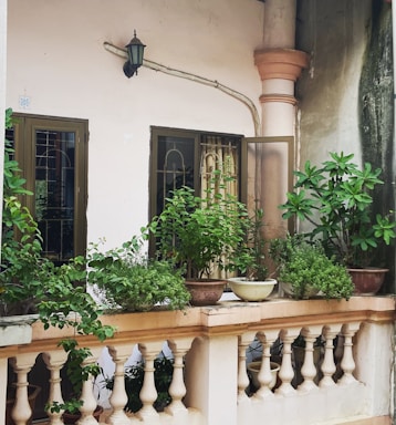 A small balcony features several potted green plants arranged on a light-colored balustrade, including leafy shrubs and small trees. A pair of glass-paned doors with metal grills and a colonial-style light fixture are part of the wall. The area conveys an old-world charm with the rustic style columns and slightly weathered walls.