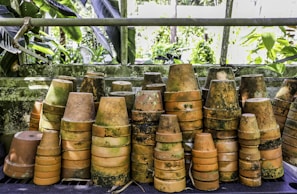 A collection of vibrant terracotta pots arranged in a rustic setting.