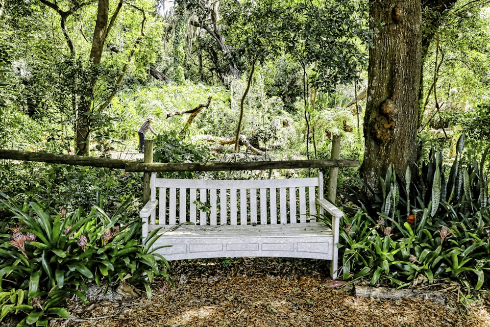 um banco branco sentado no meio de uma floresta