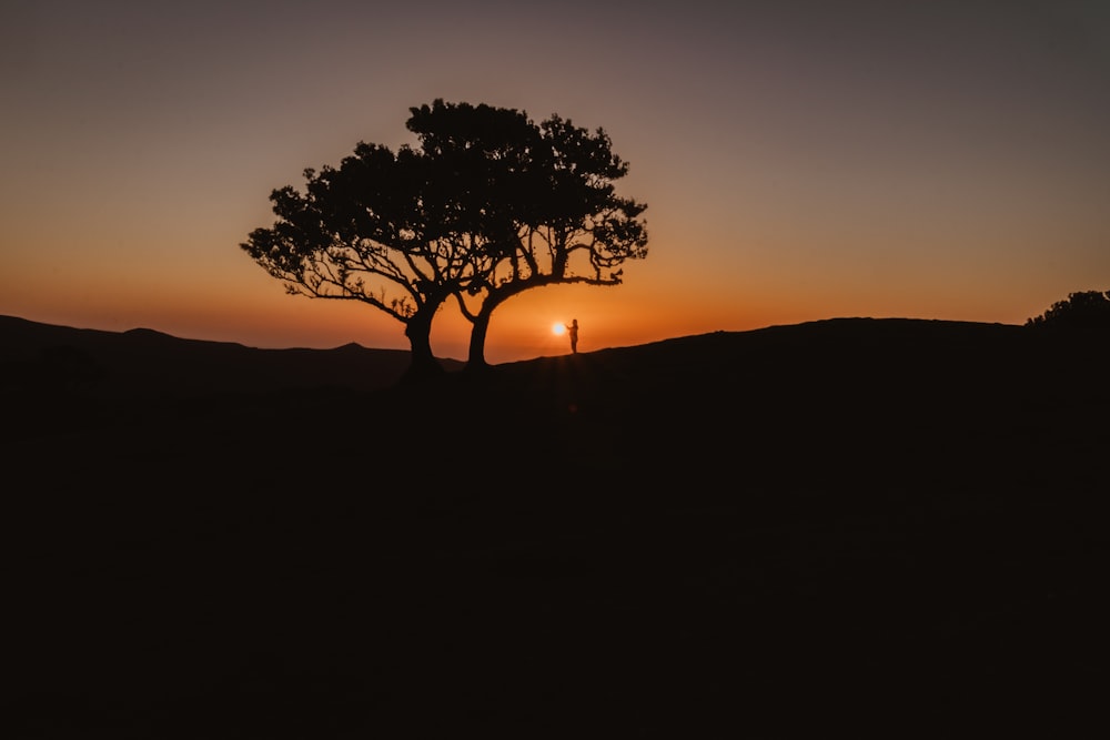 the sun is setting behind a tree on a hill