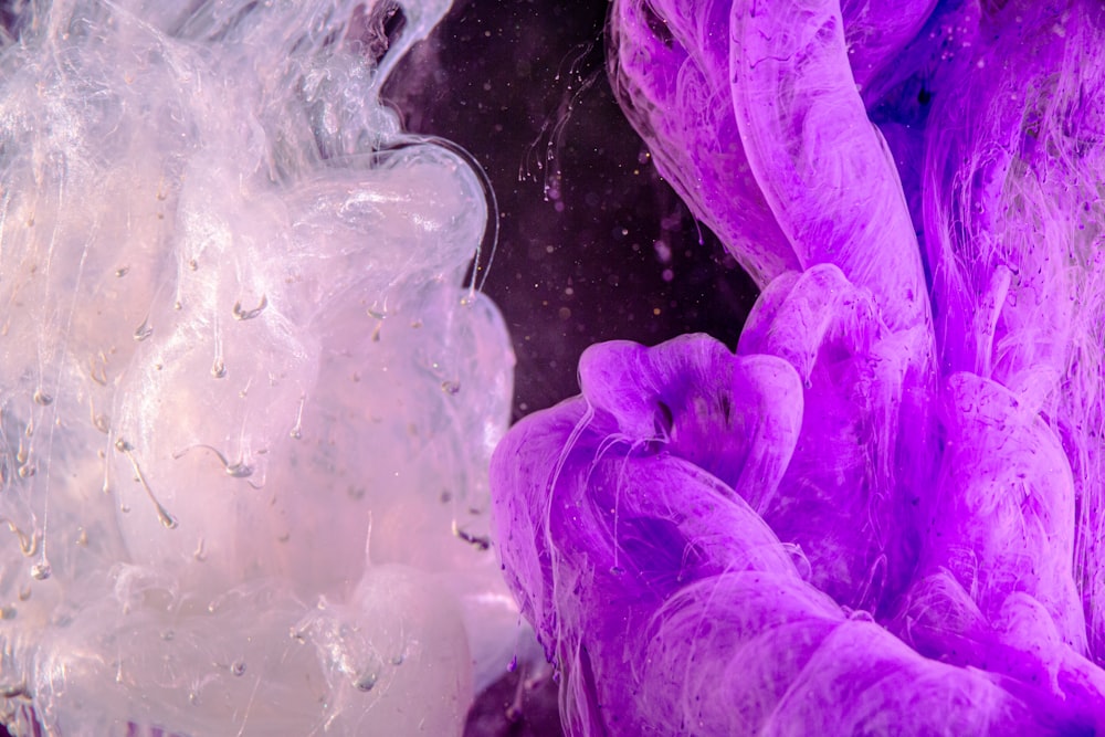 a close up of a purple substance in water