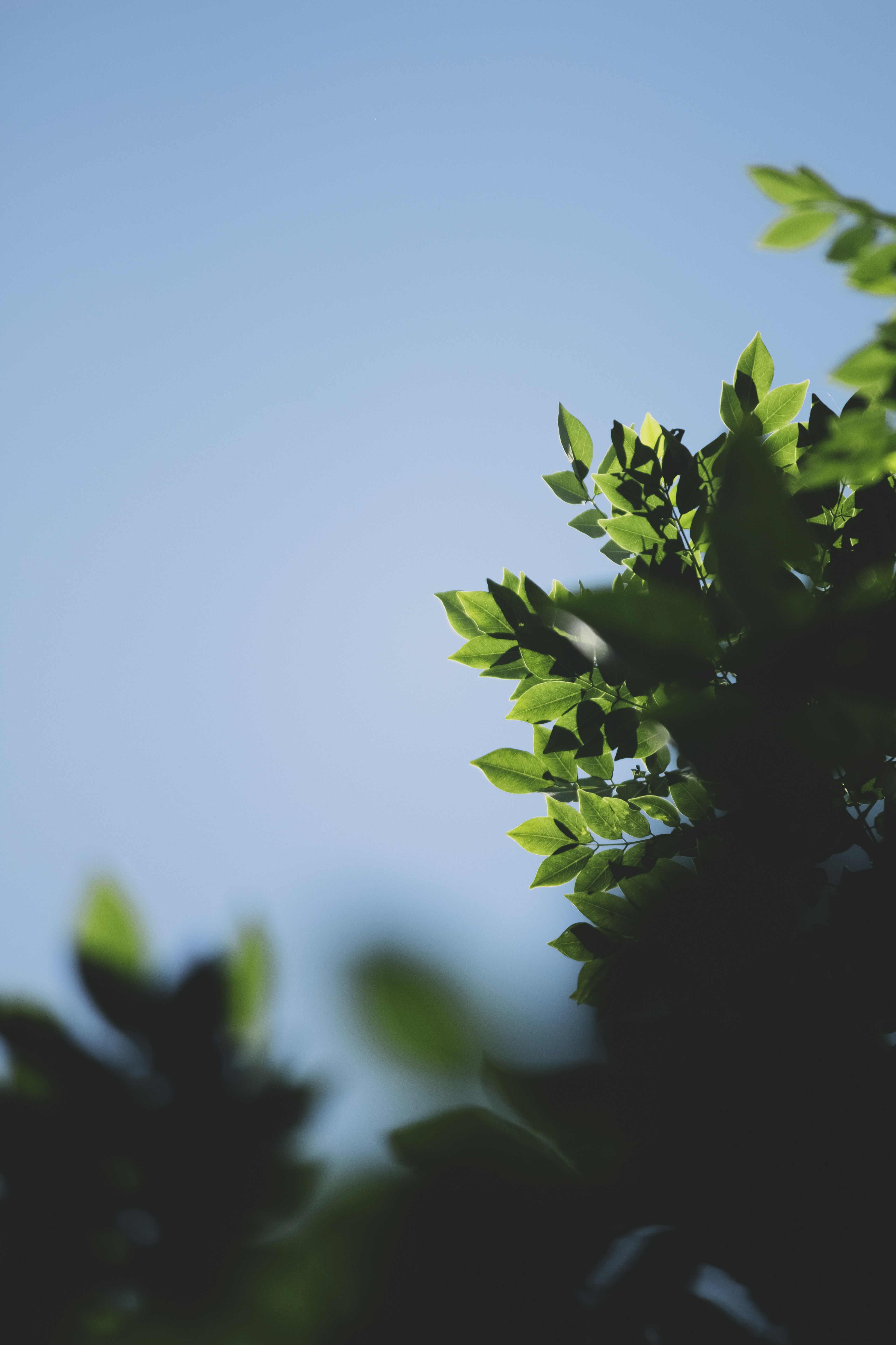 Photo by aniljose1997