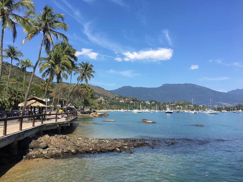 a view of a beach with palm trees and boats in the water