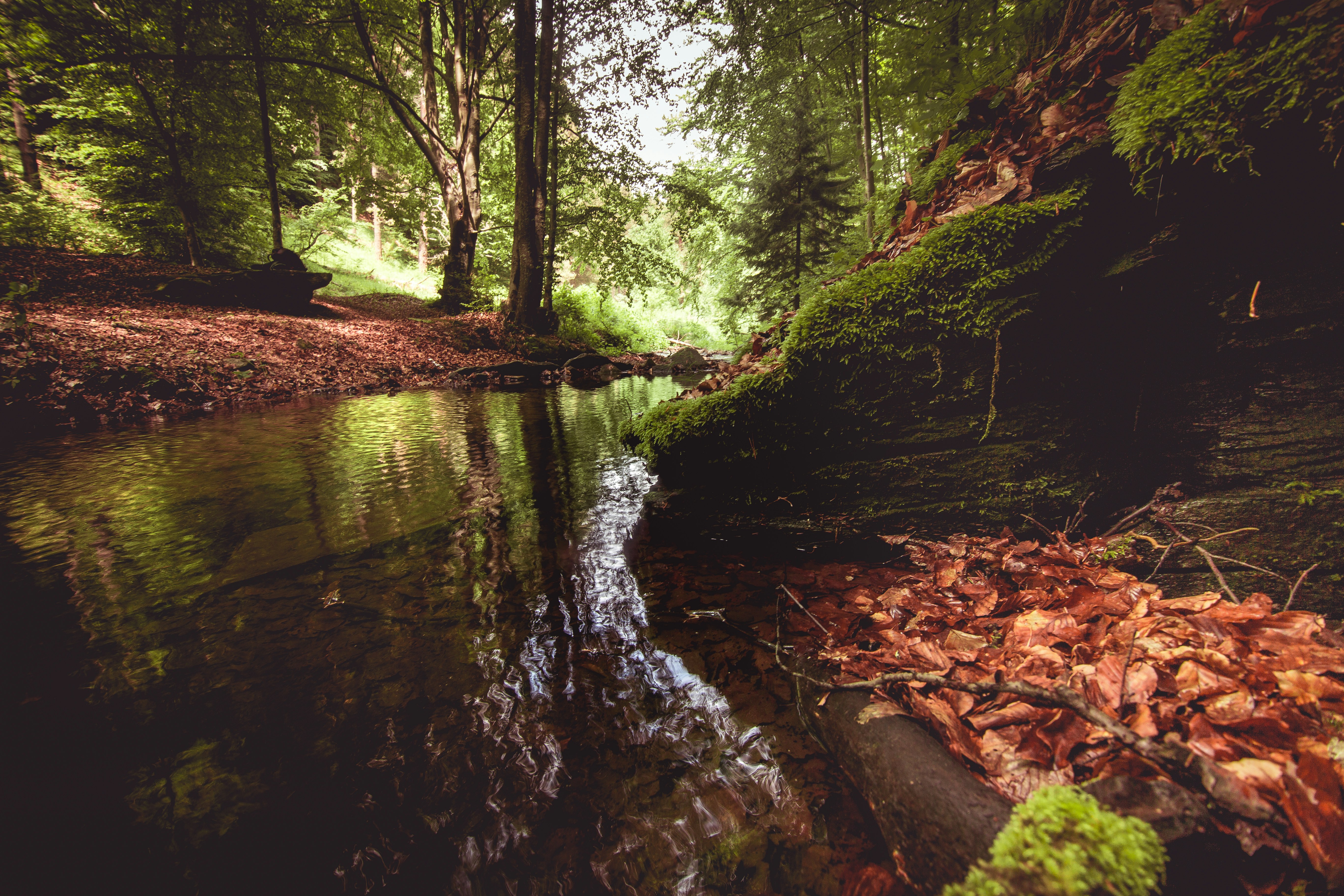 Photo by blooddrainer