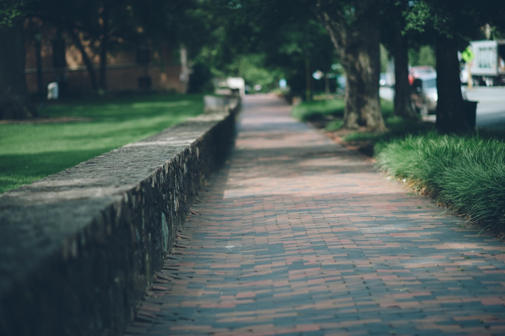 a brick sidewalk with grass and trees on both sides