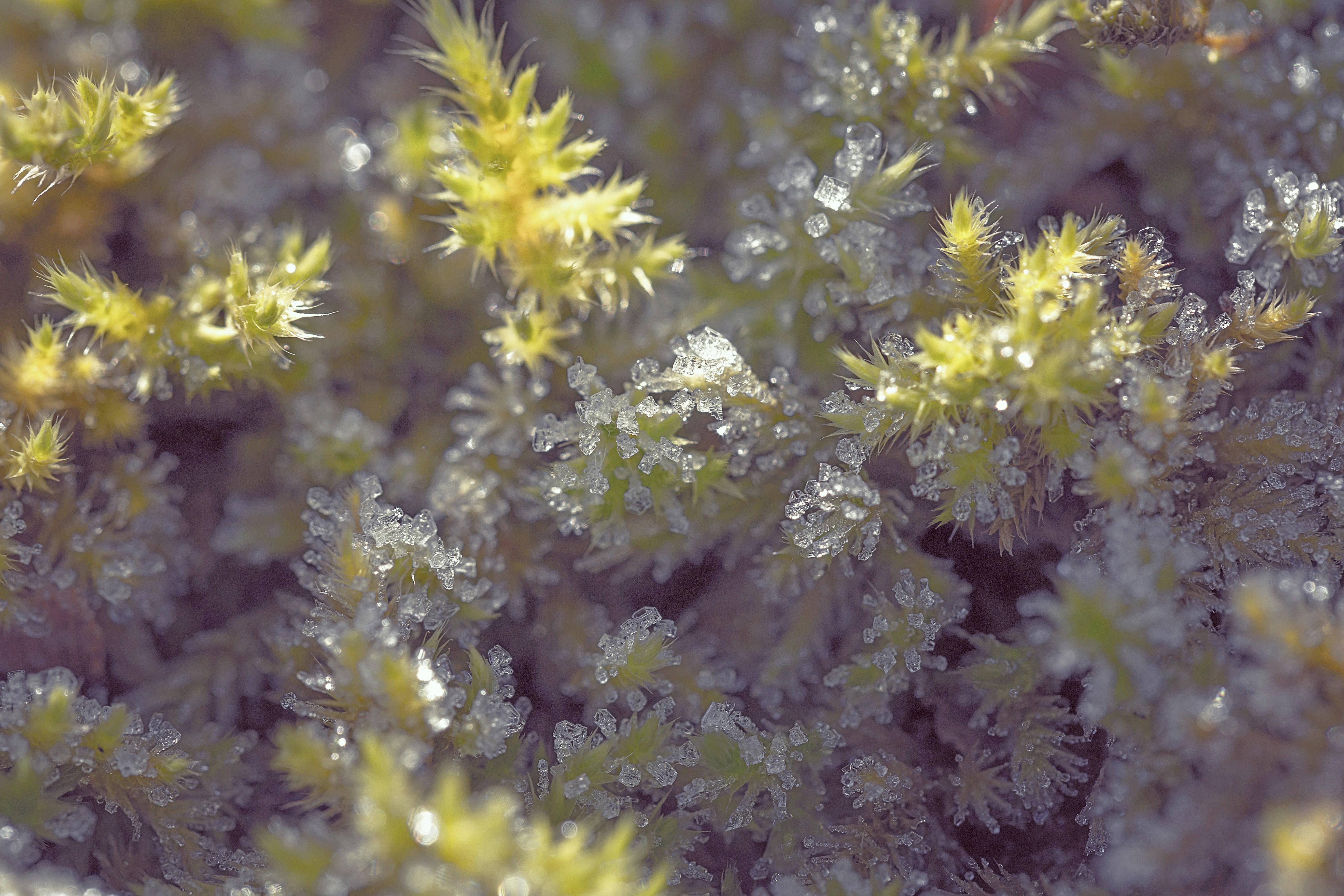 Photo by blooddrainer