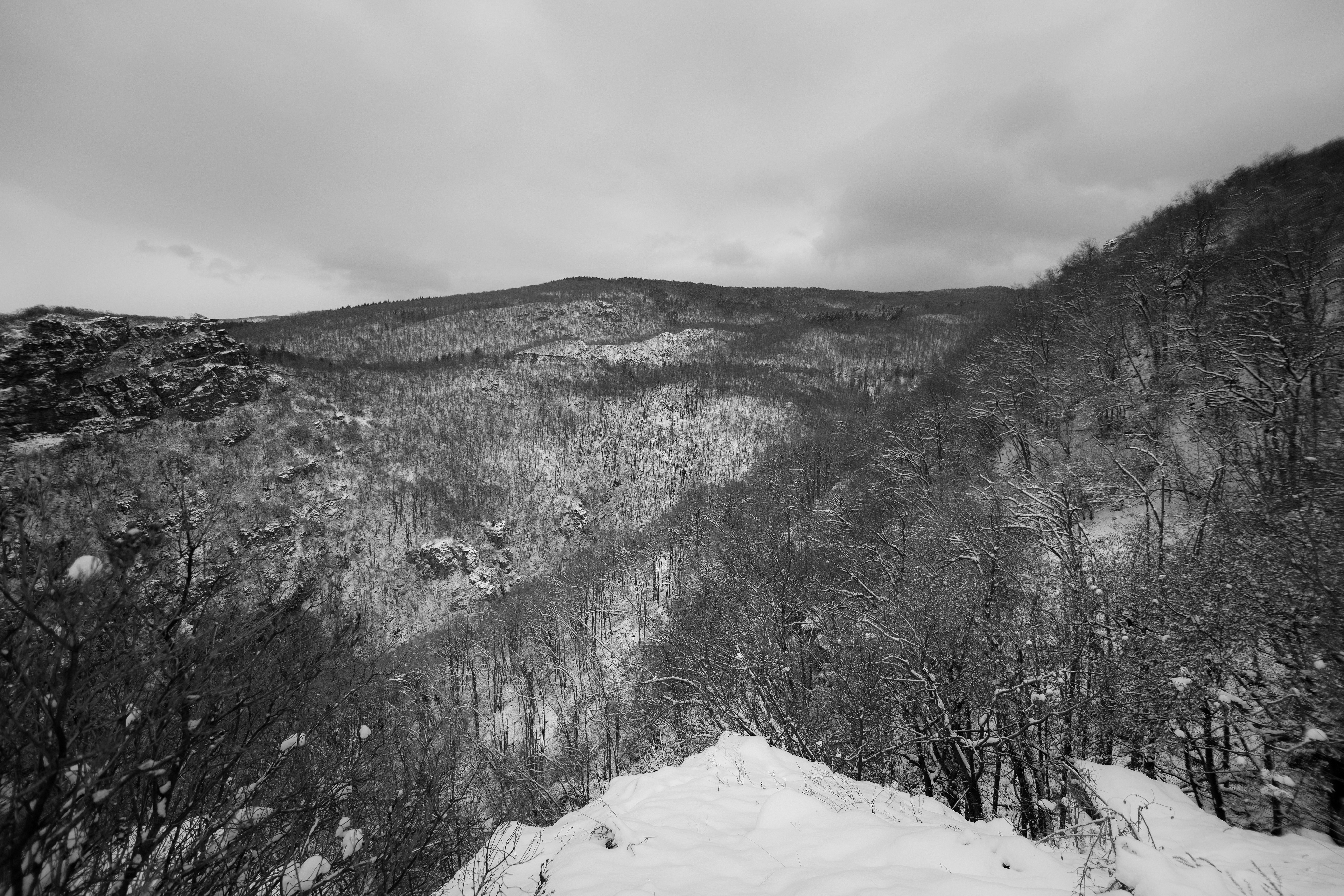 Photo by blooddrainer