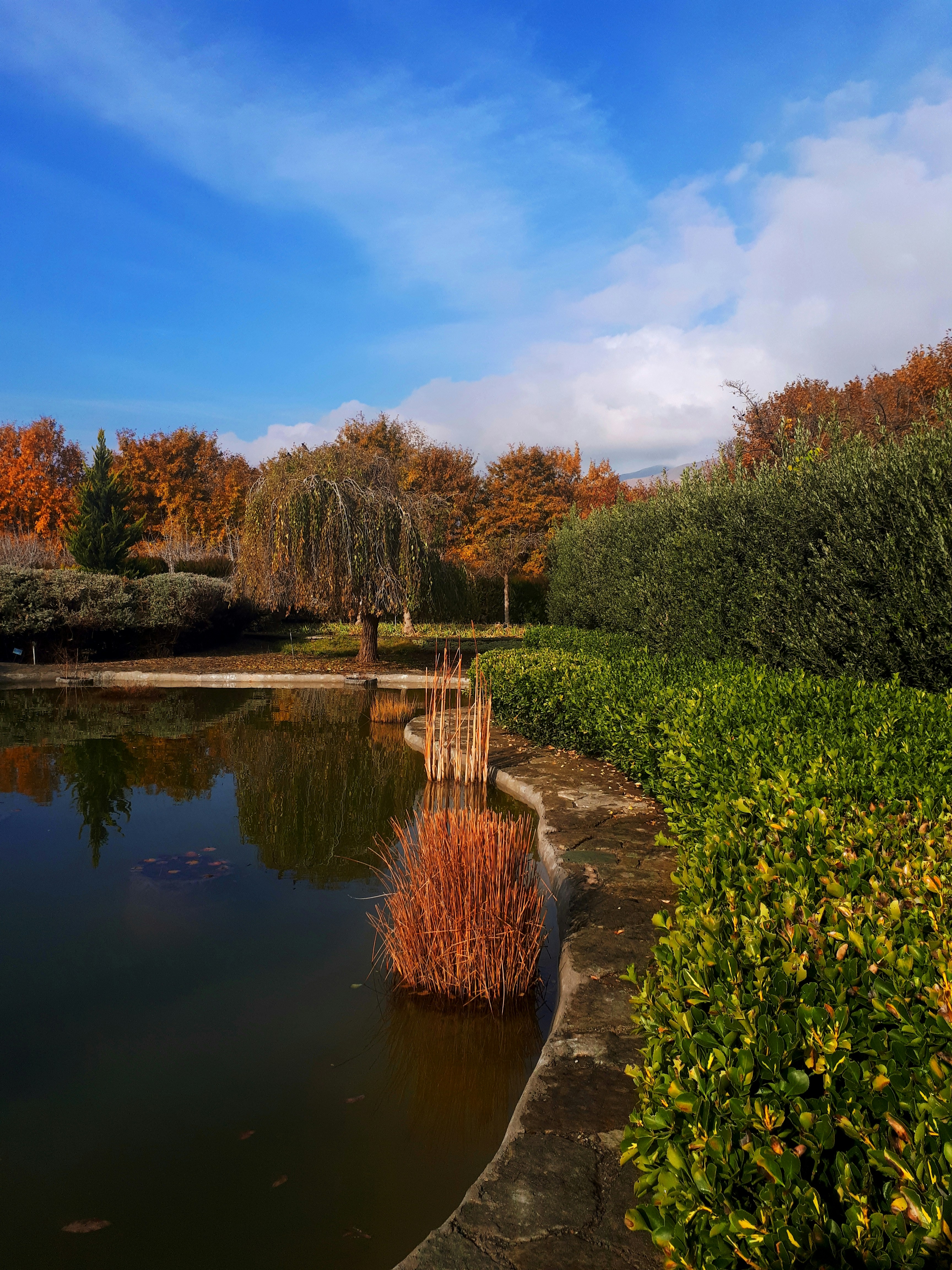 Photo by niu_niusha_