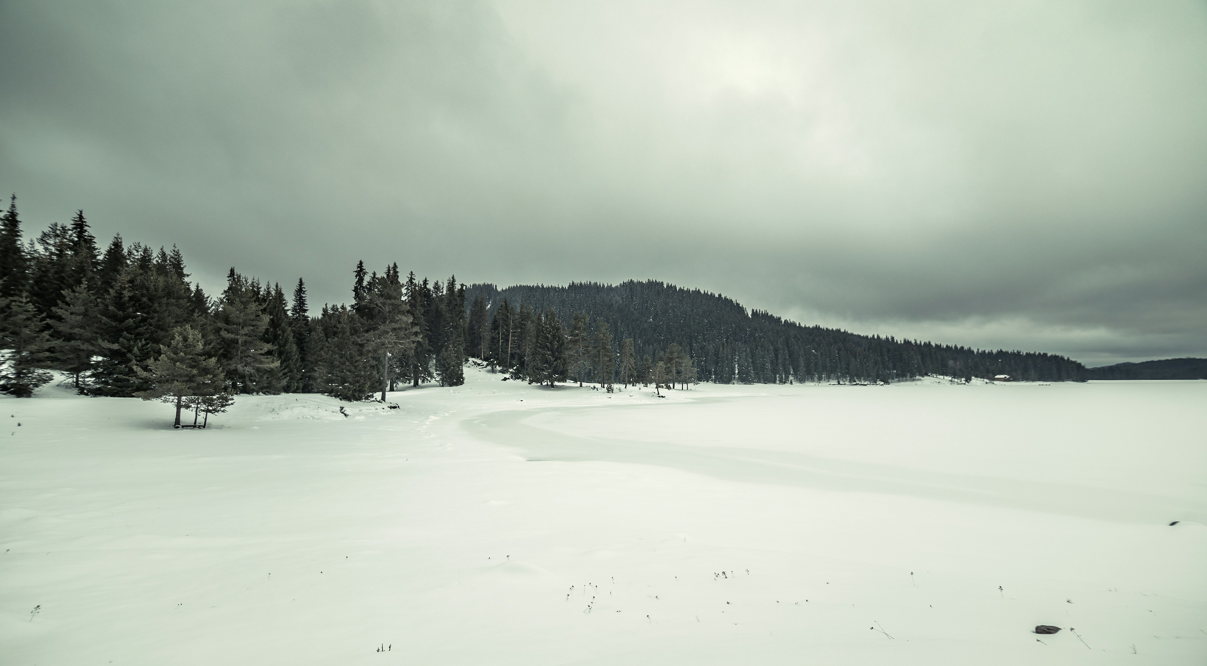 Photo by blooddrainer