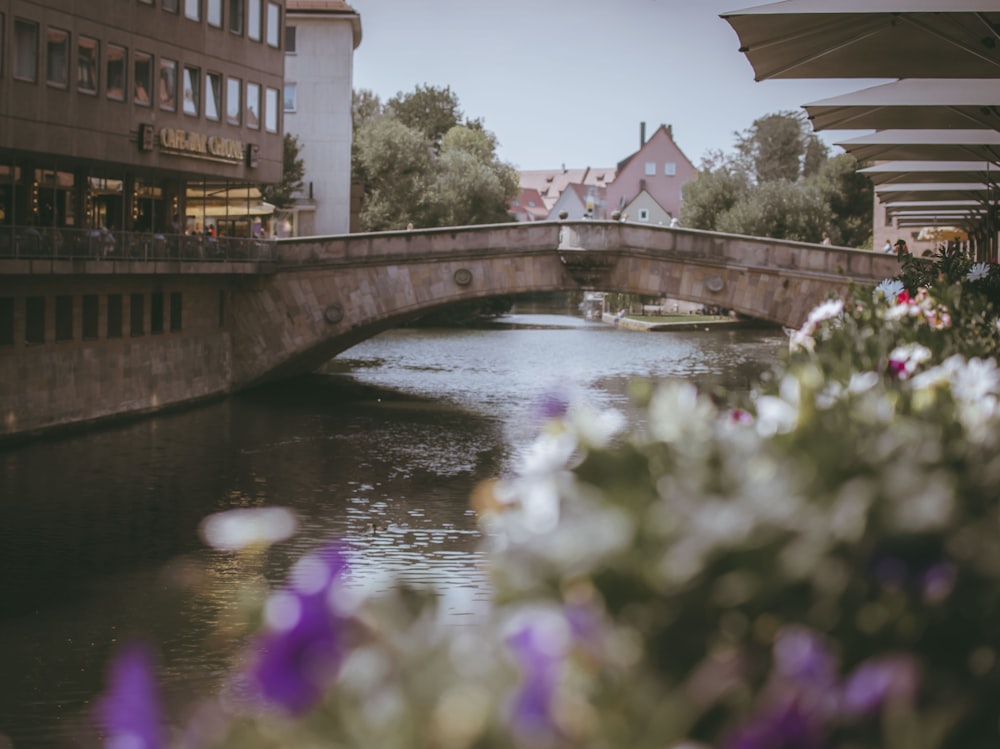 a bridge over a body of water with buildings in the background