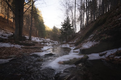 a stream running through a snow covered forest
