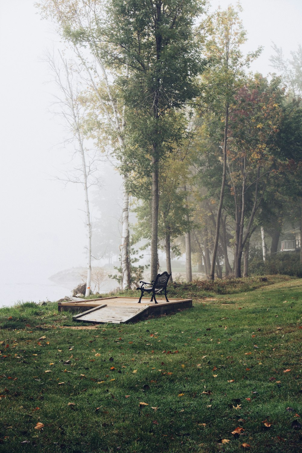 a park bench sitting on top of a lush green field