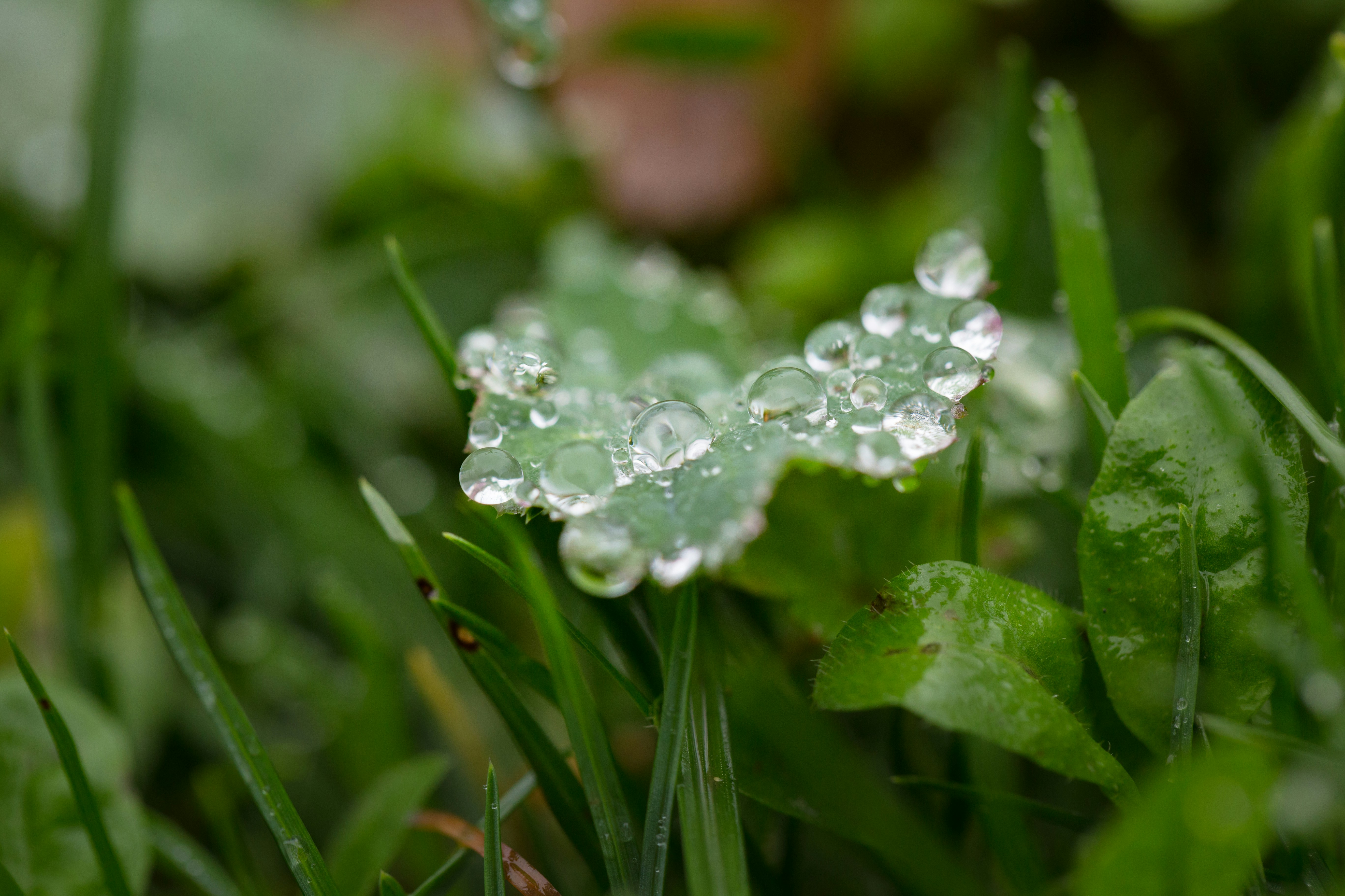 Photo by blooddrainer