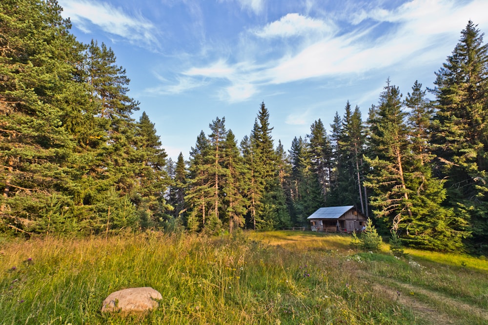 a small cabin in the middle of a forest