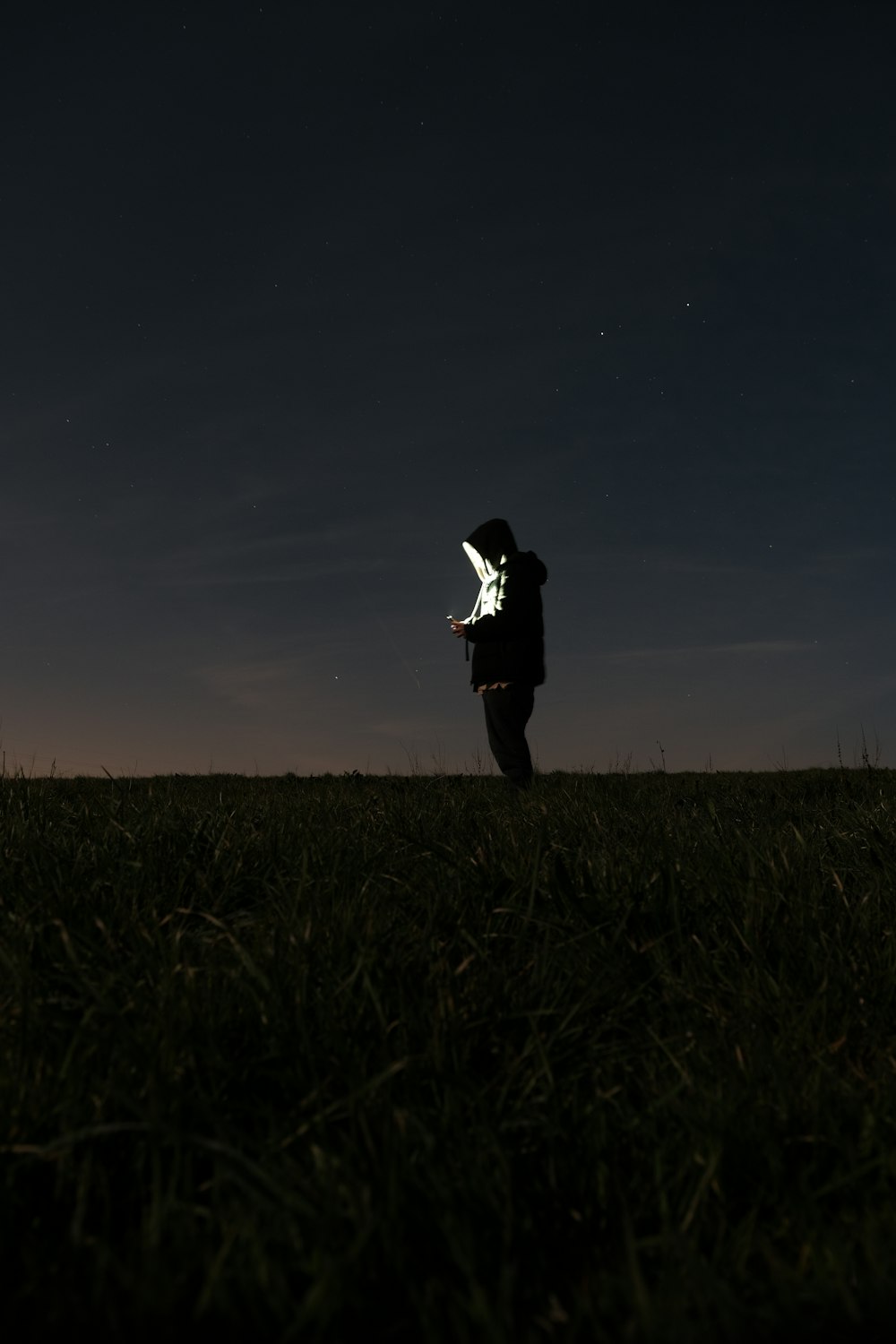 a person standing in a field holding a kite