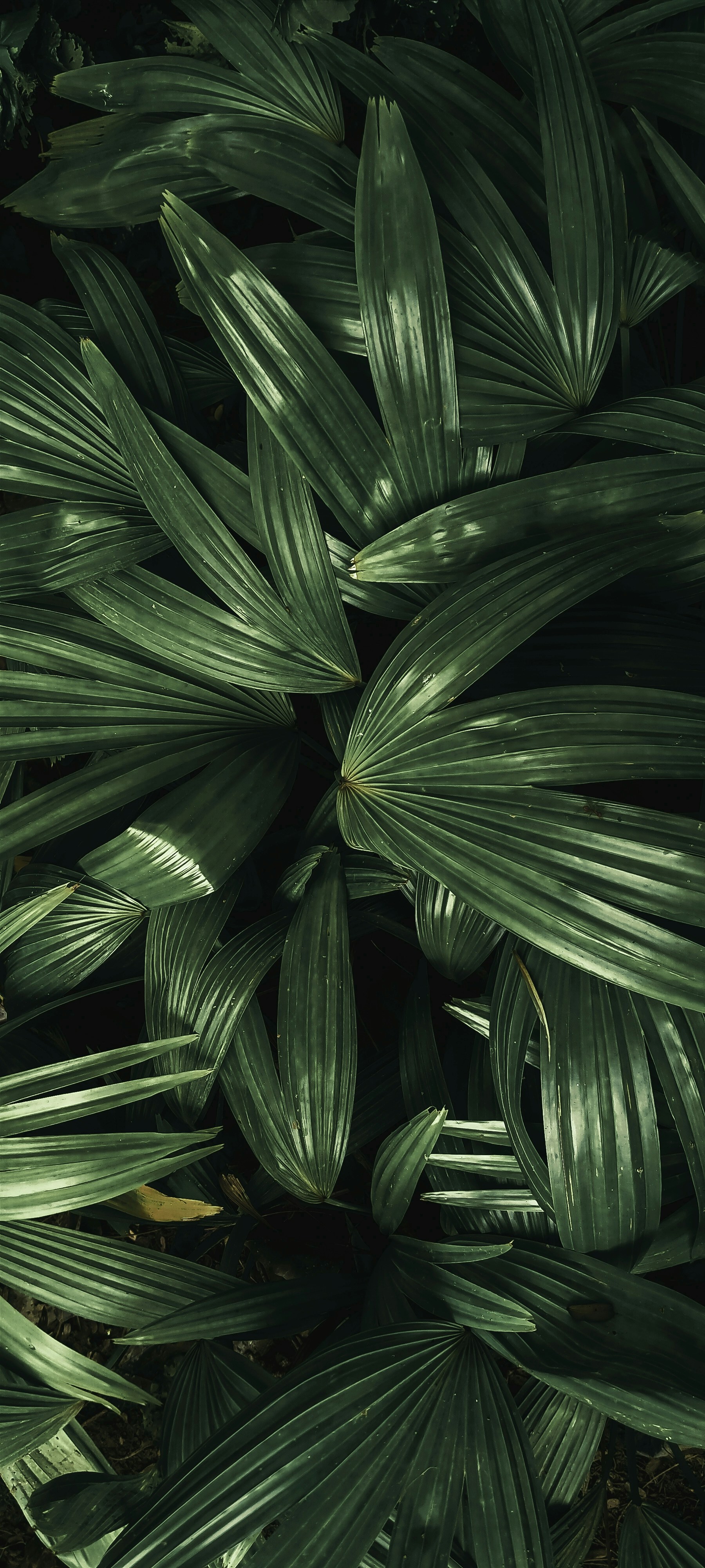 Photo by kalpit_visavadiya