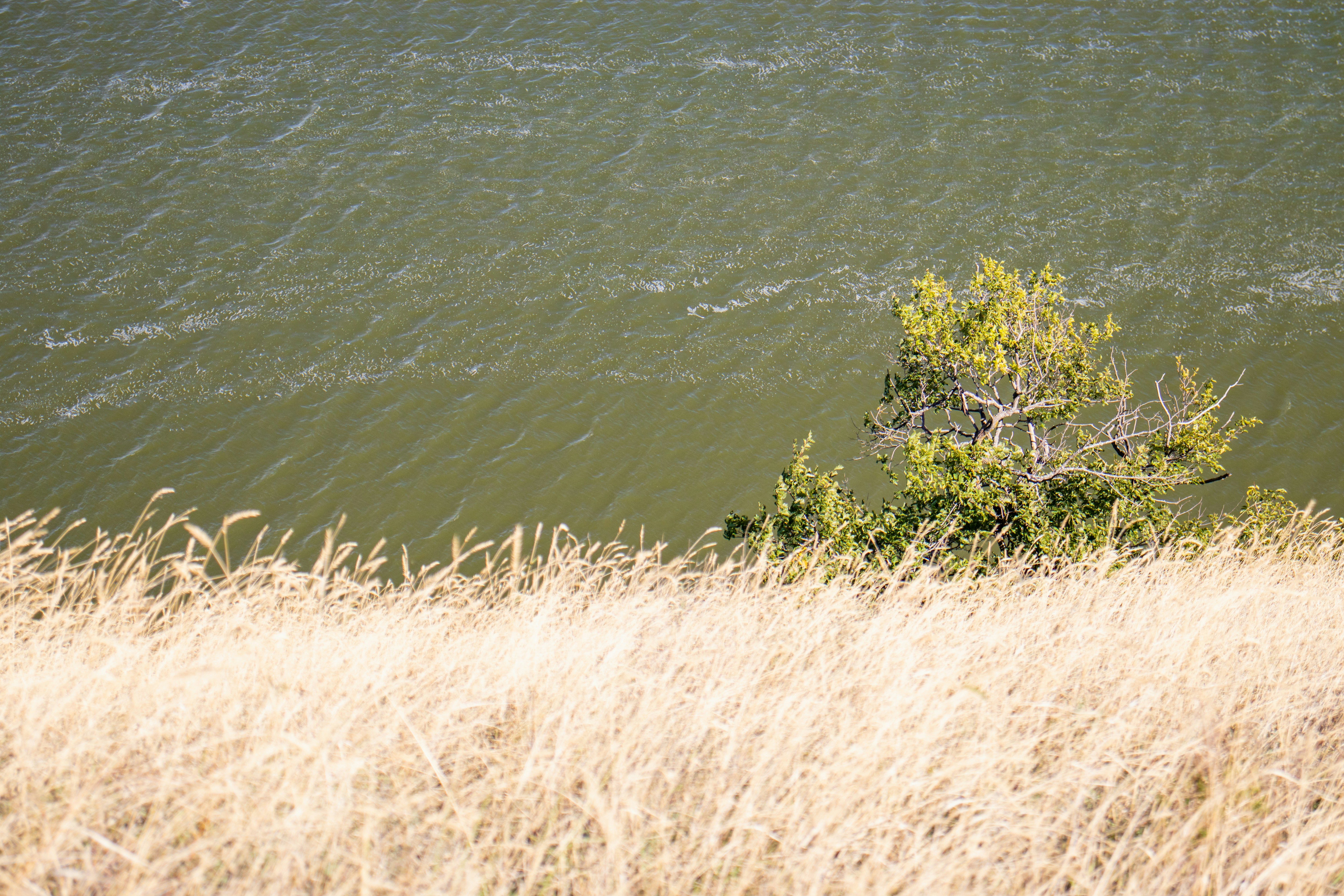 Photo by alpridephoto