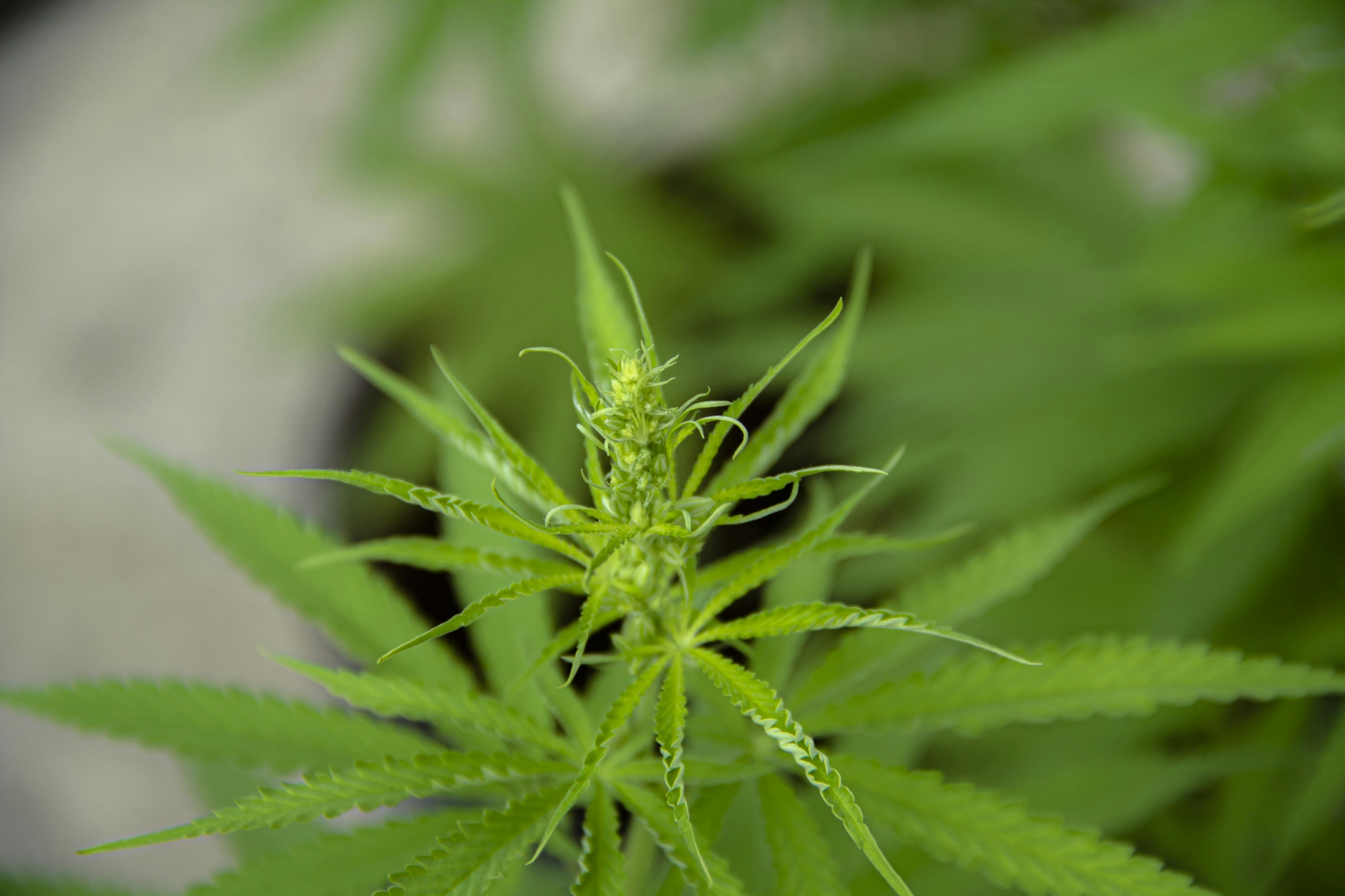 Photo by andresloquesea