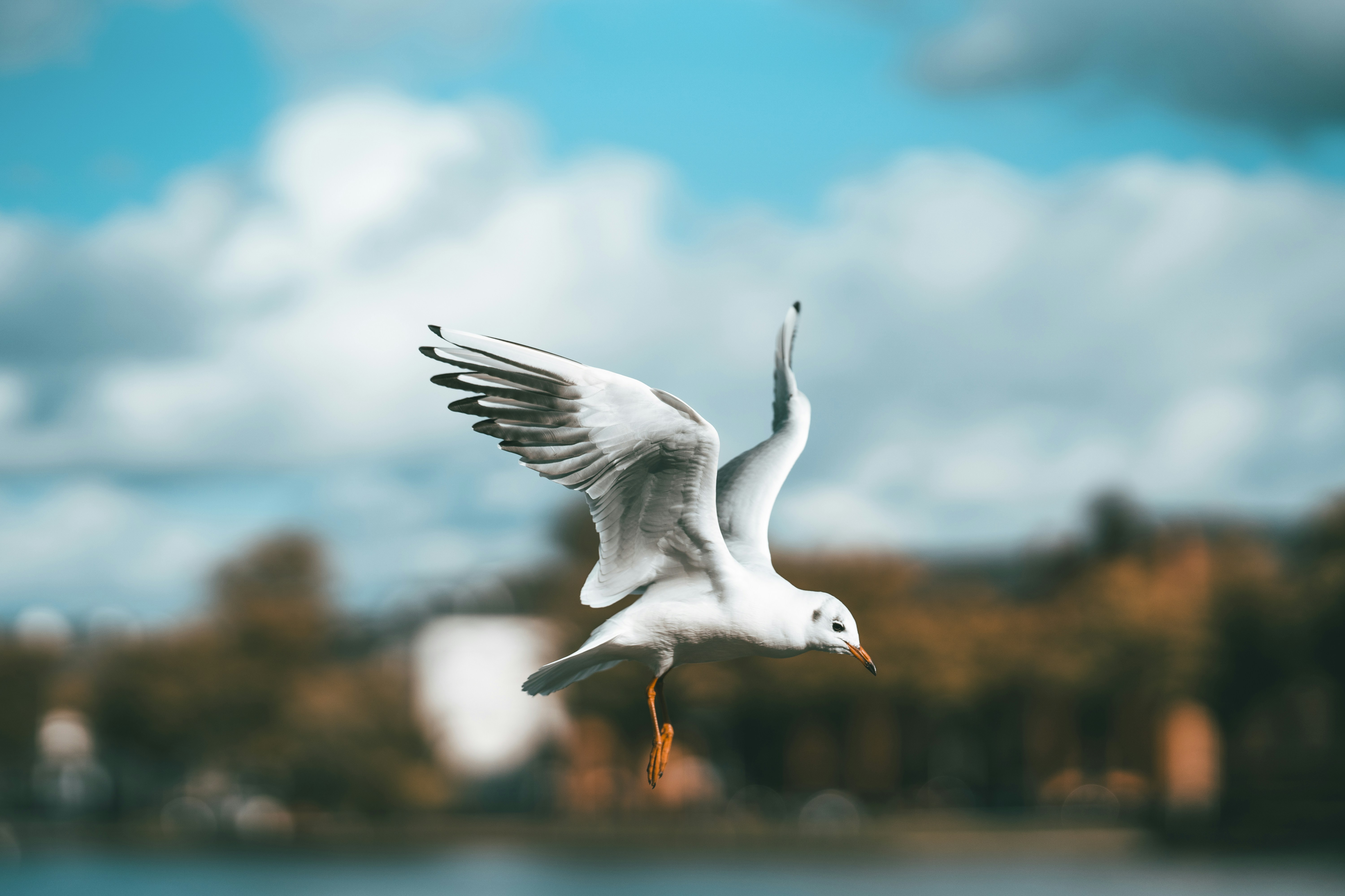 Photo by omarvellous14