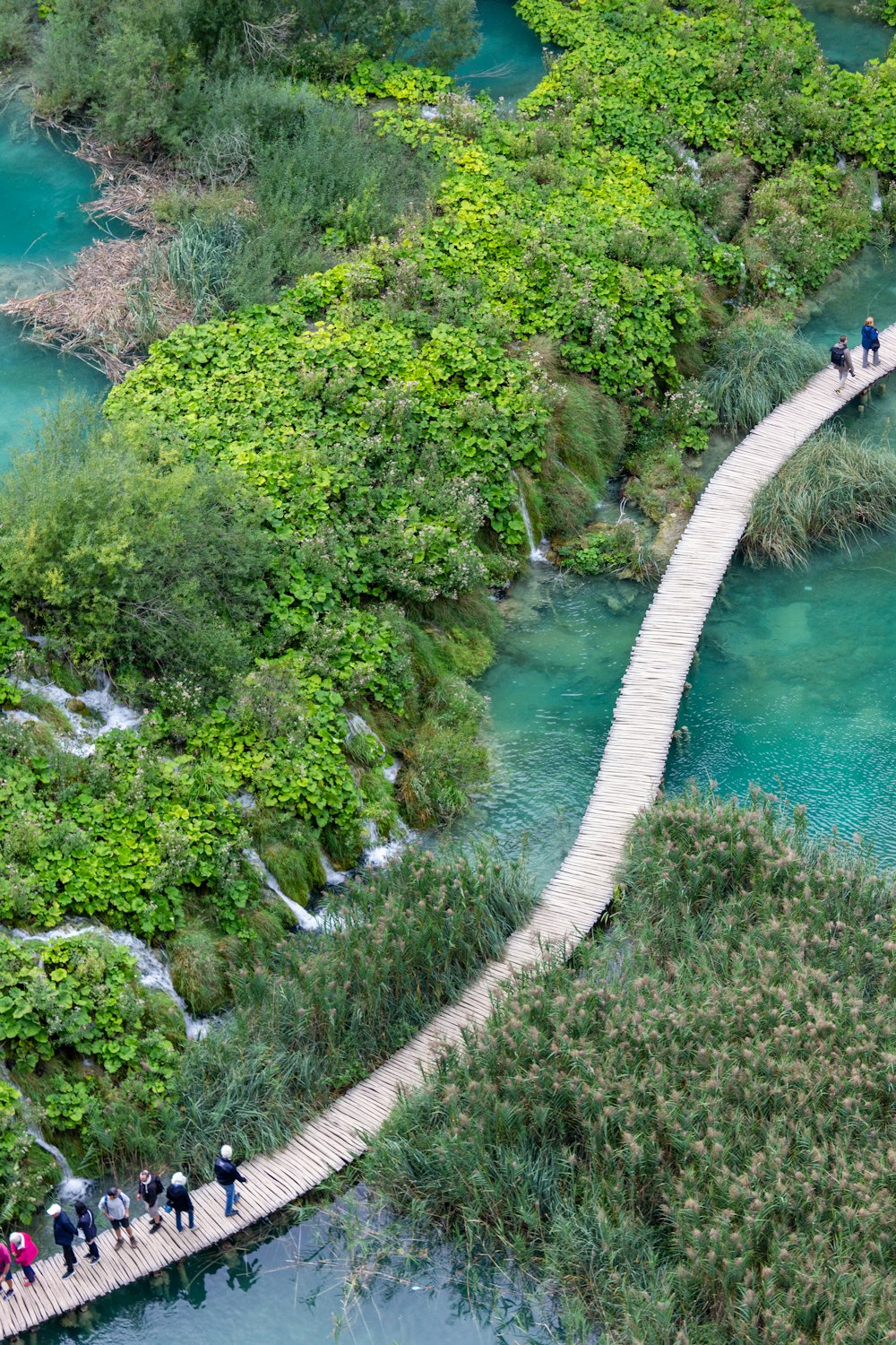 a group of people walking across a bridge over a river