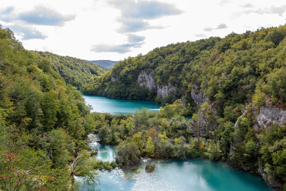 a river surrounded by lush green trees in the middle of a forest