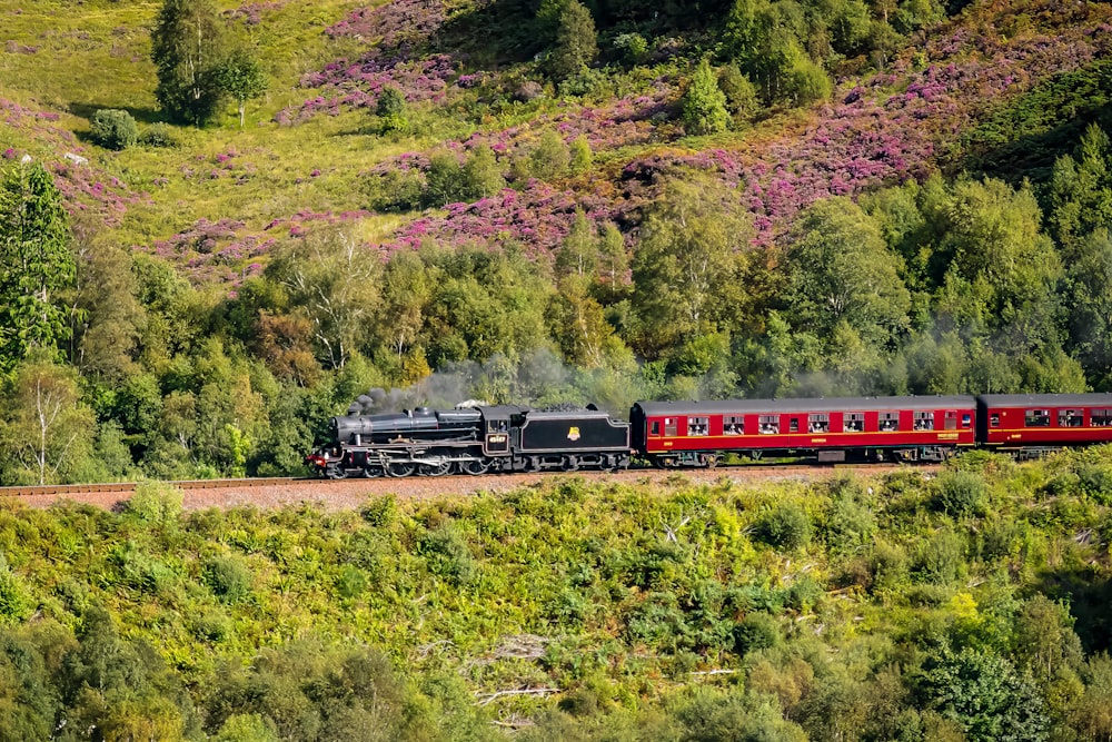 a train traveling through a lush green countryside