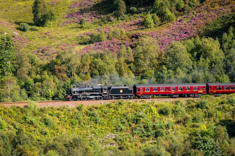 Un treno che viaggia attraverso una campagna lussureggiante e verde