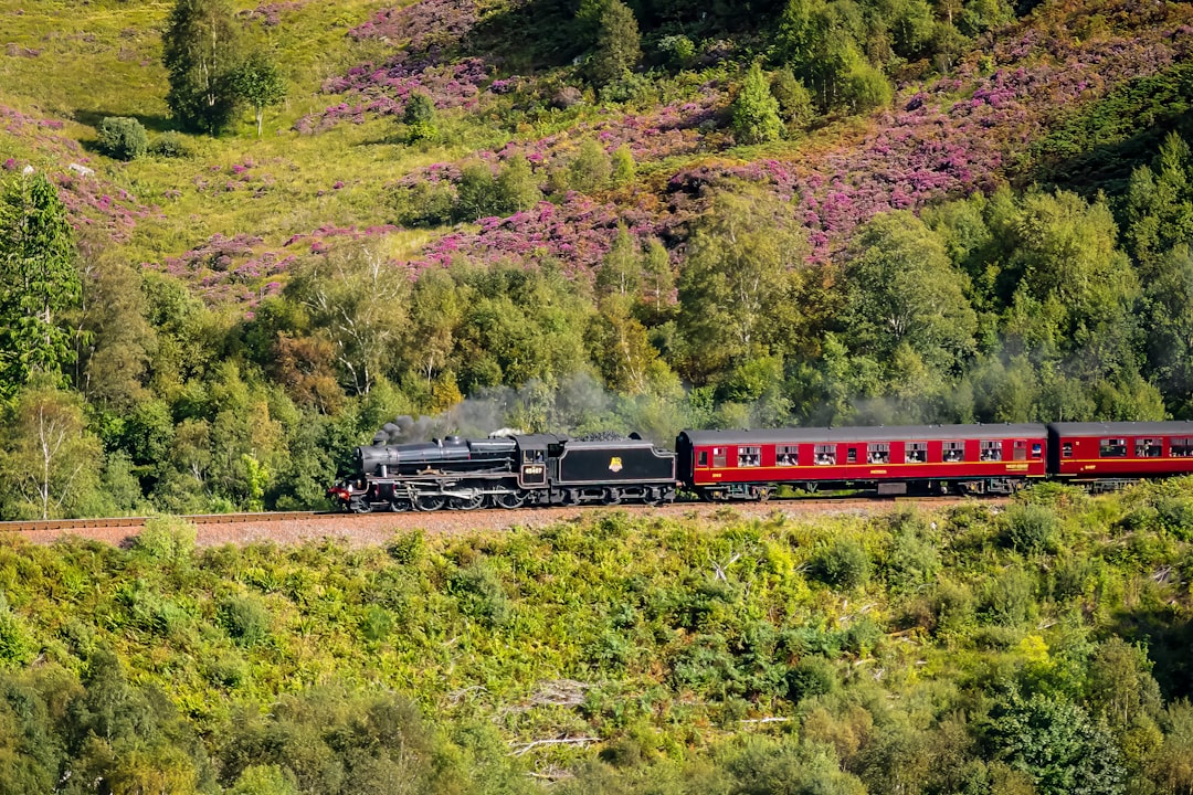 a train traveling through a lush green countryside,